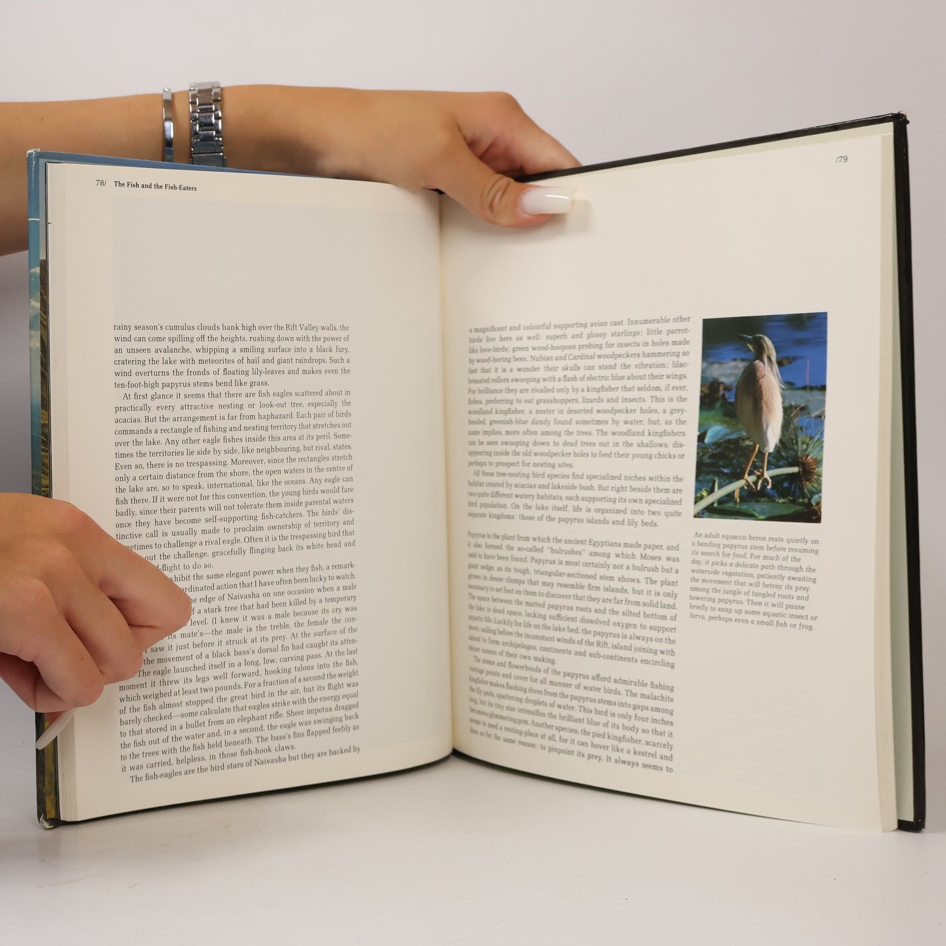 Autores varios Africa's Rift Valley