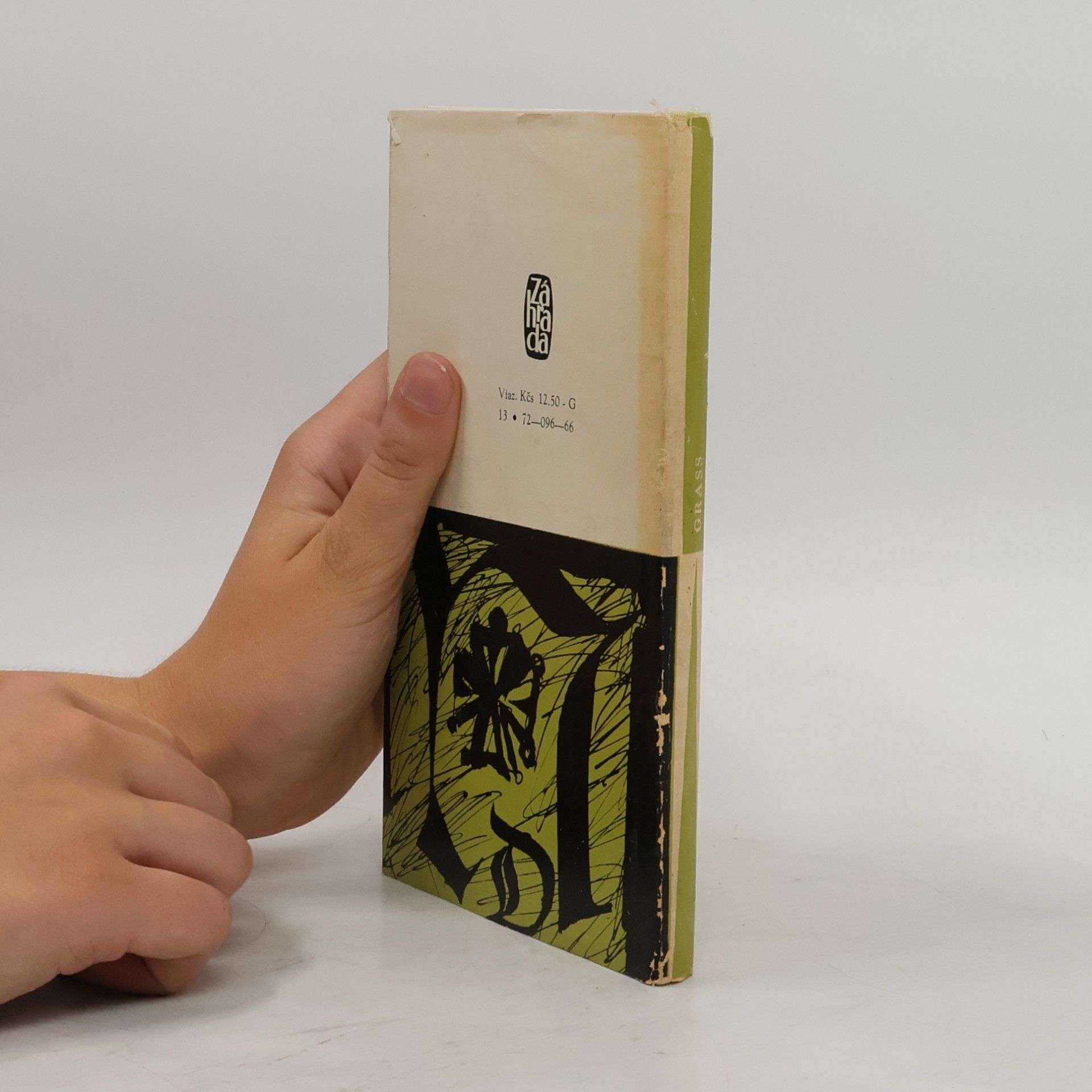 Günter Grass Mačka a myš