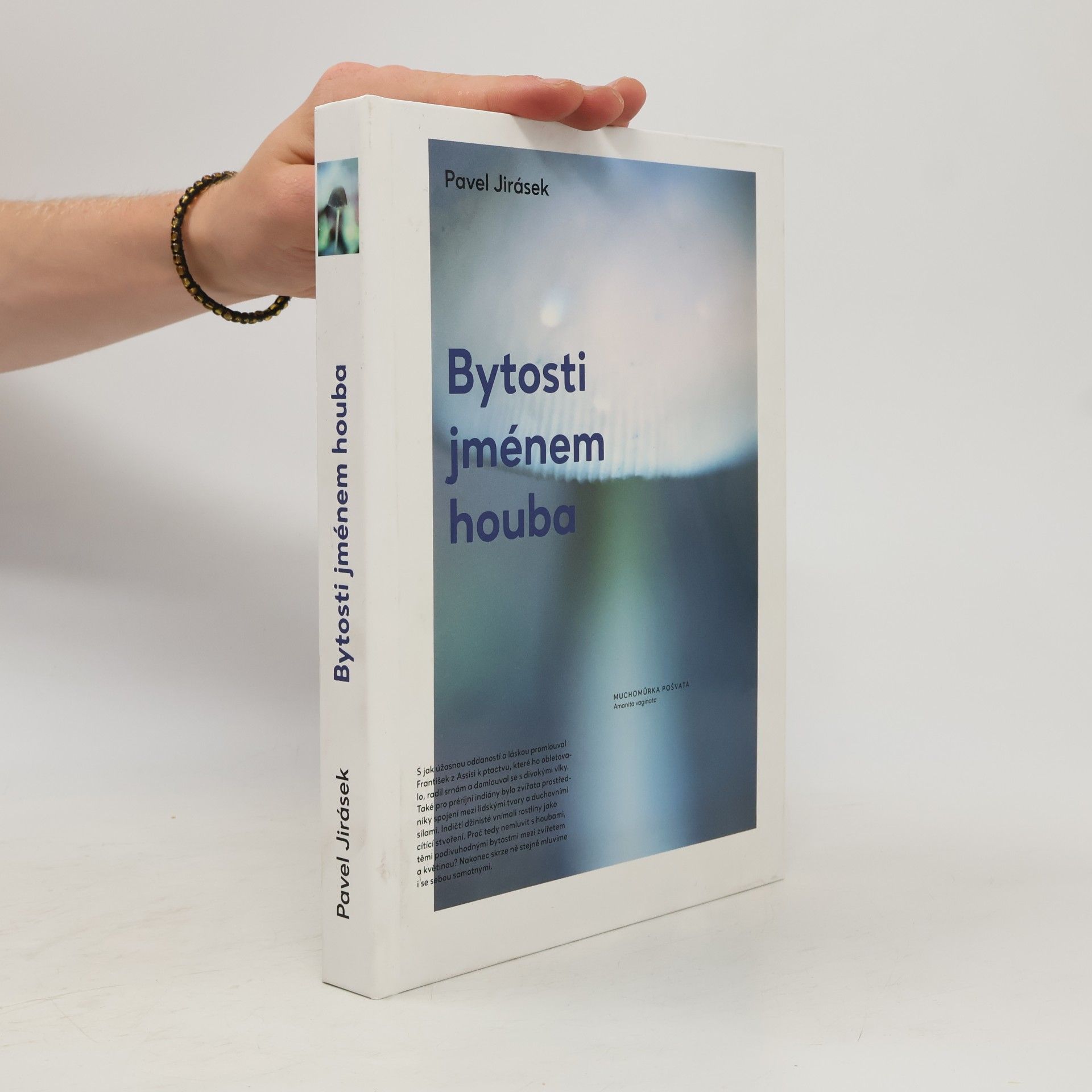 Pavel Jirásek Bytosti jménem houba