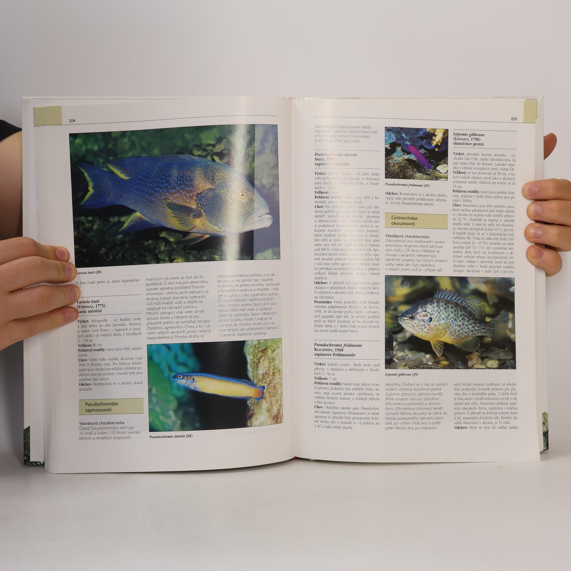 Jaroslav Hofmann Velký atlas akvarijních ryb