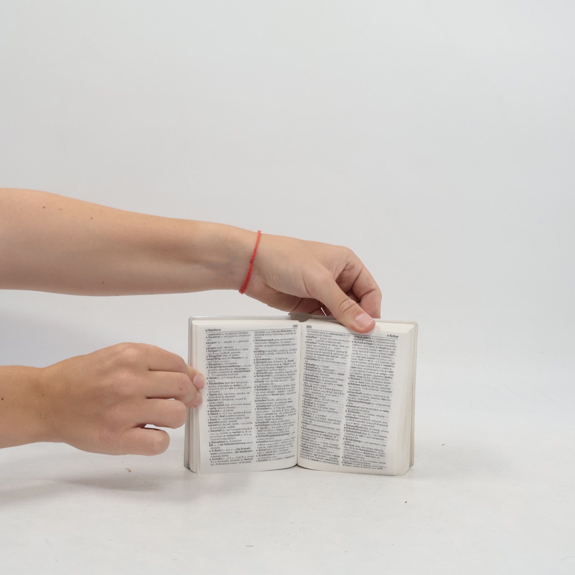 Various authors Německo-český, česko-německý slovník