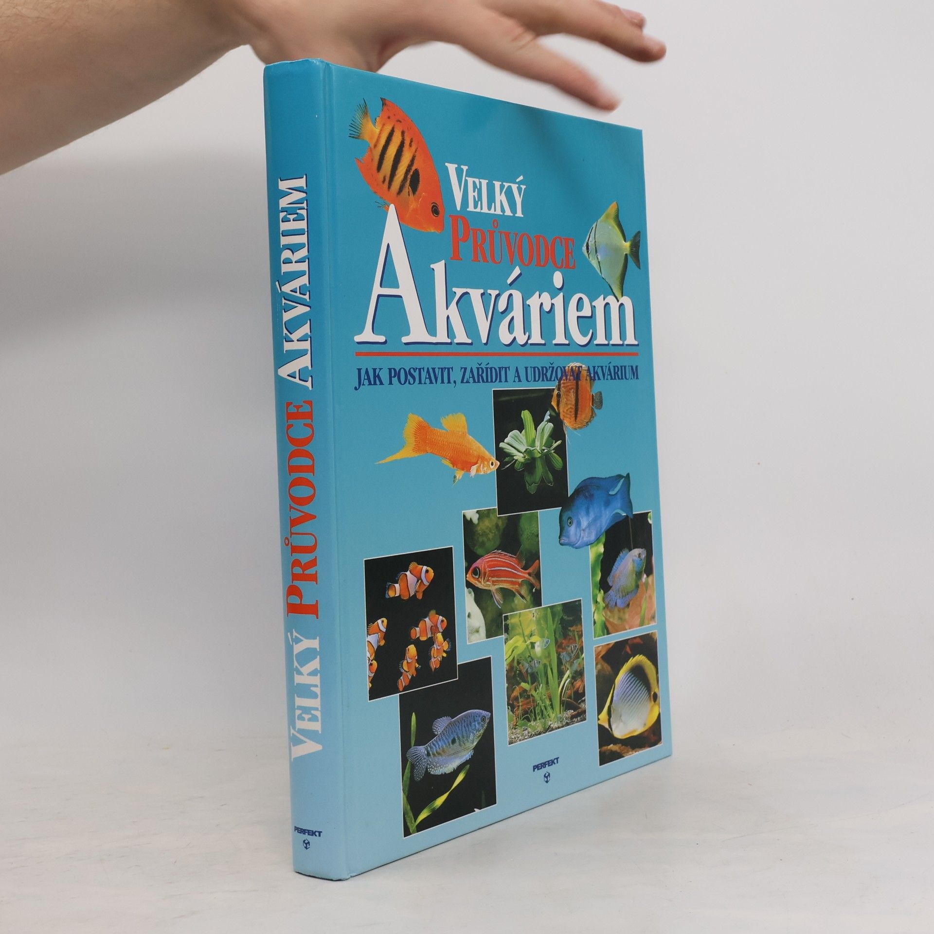 Thierry Maitre Allain Velký průvodce akváriem