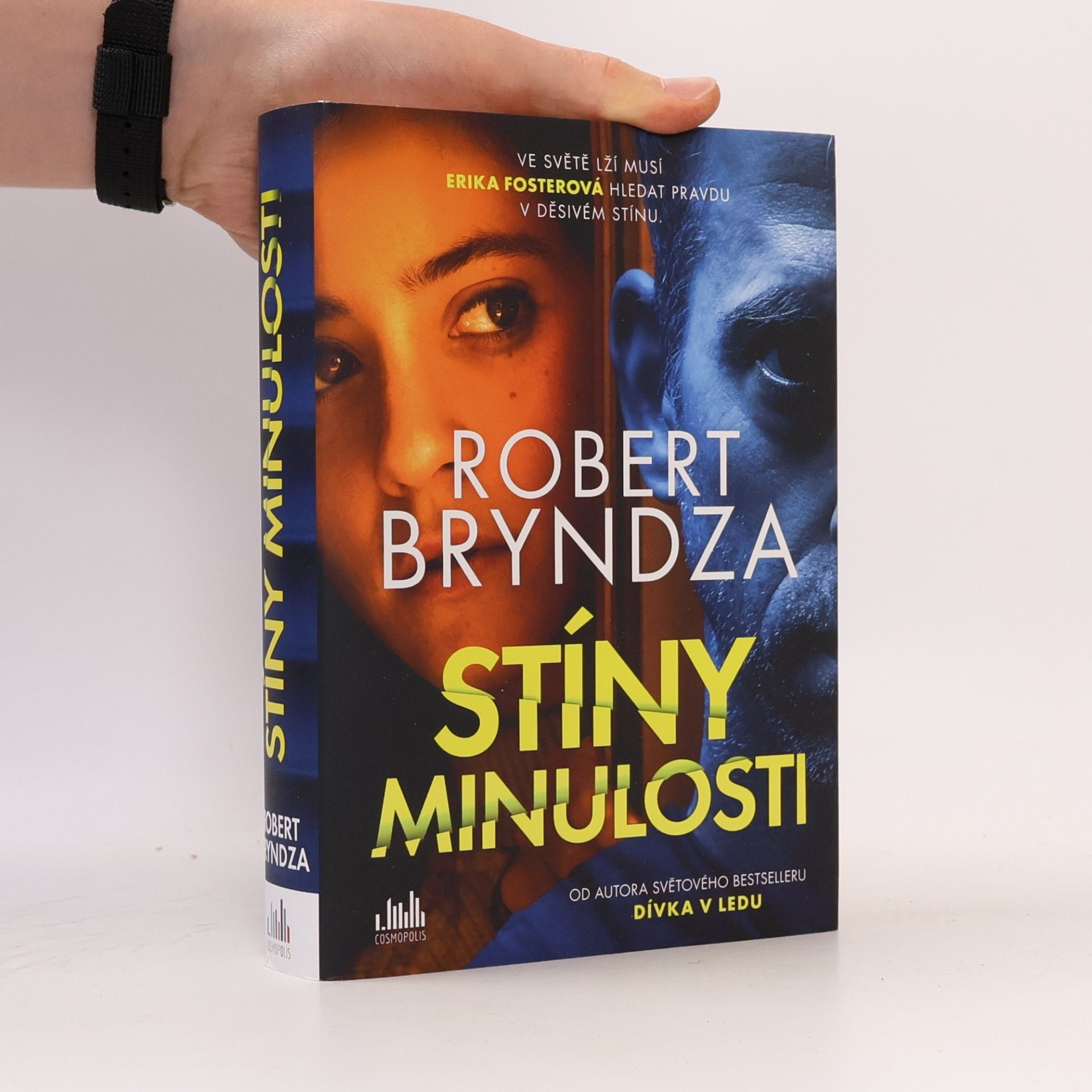 Robert Bryndza Stíny minulosti