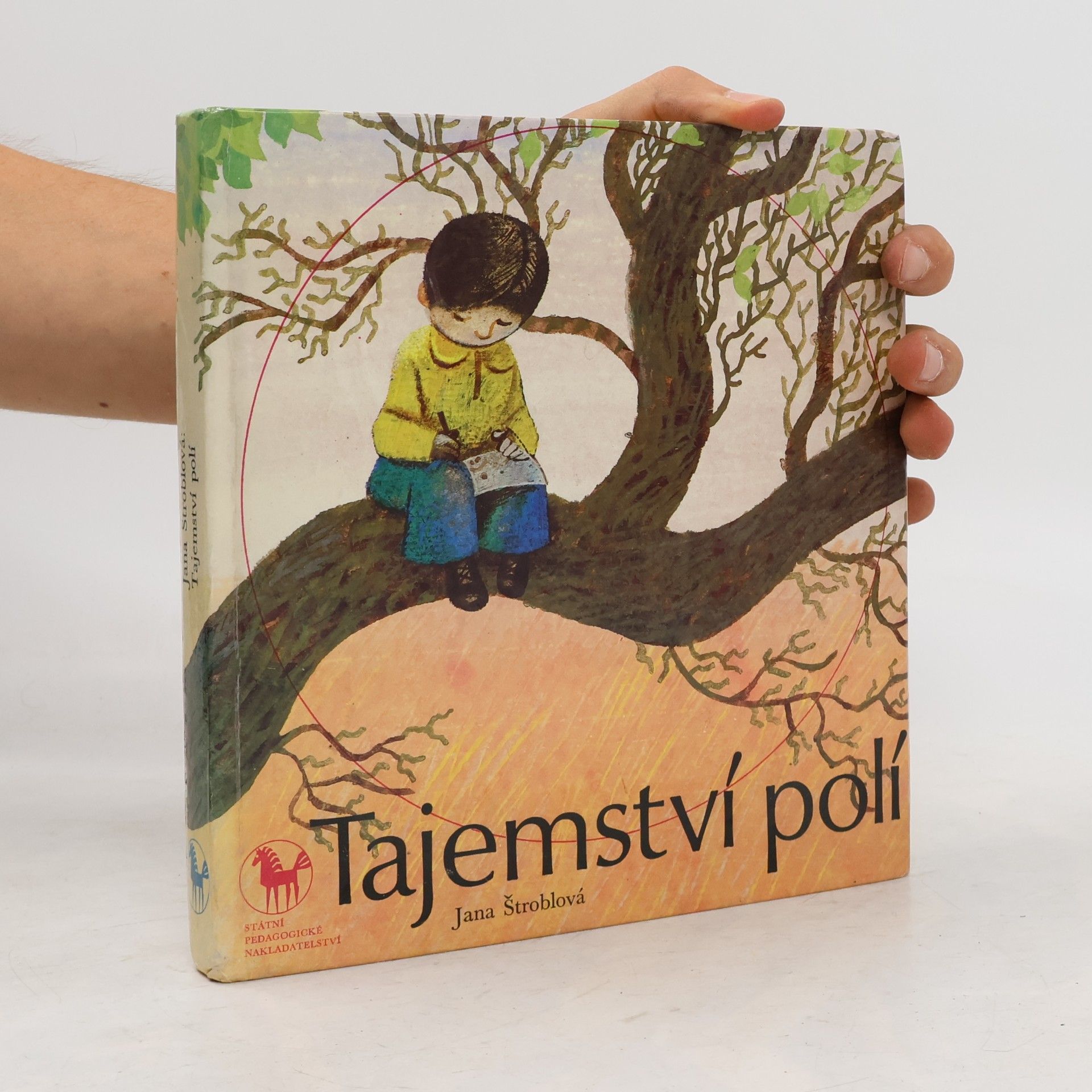 Tajemství polí