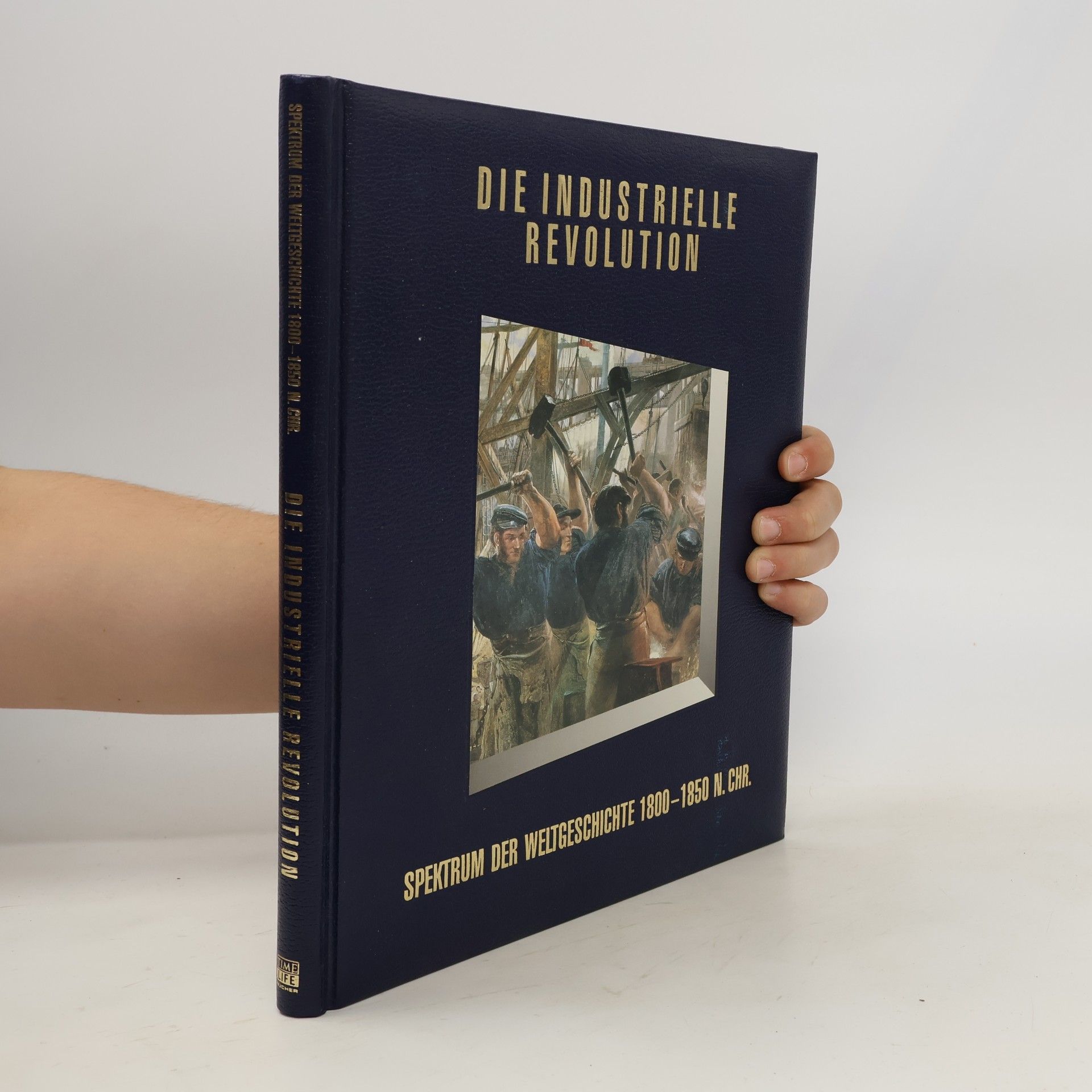 Kolektiv autorů Die Industrielle Revolution