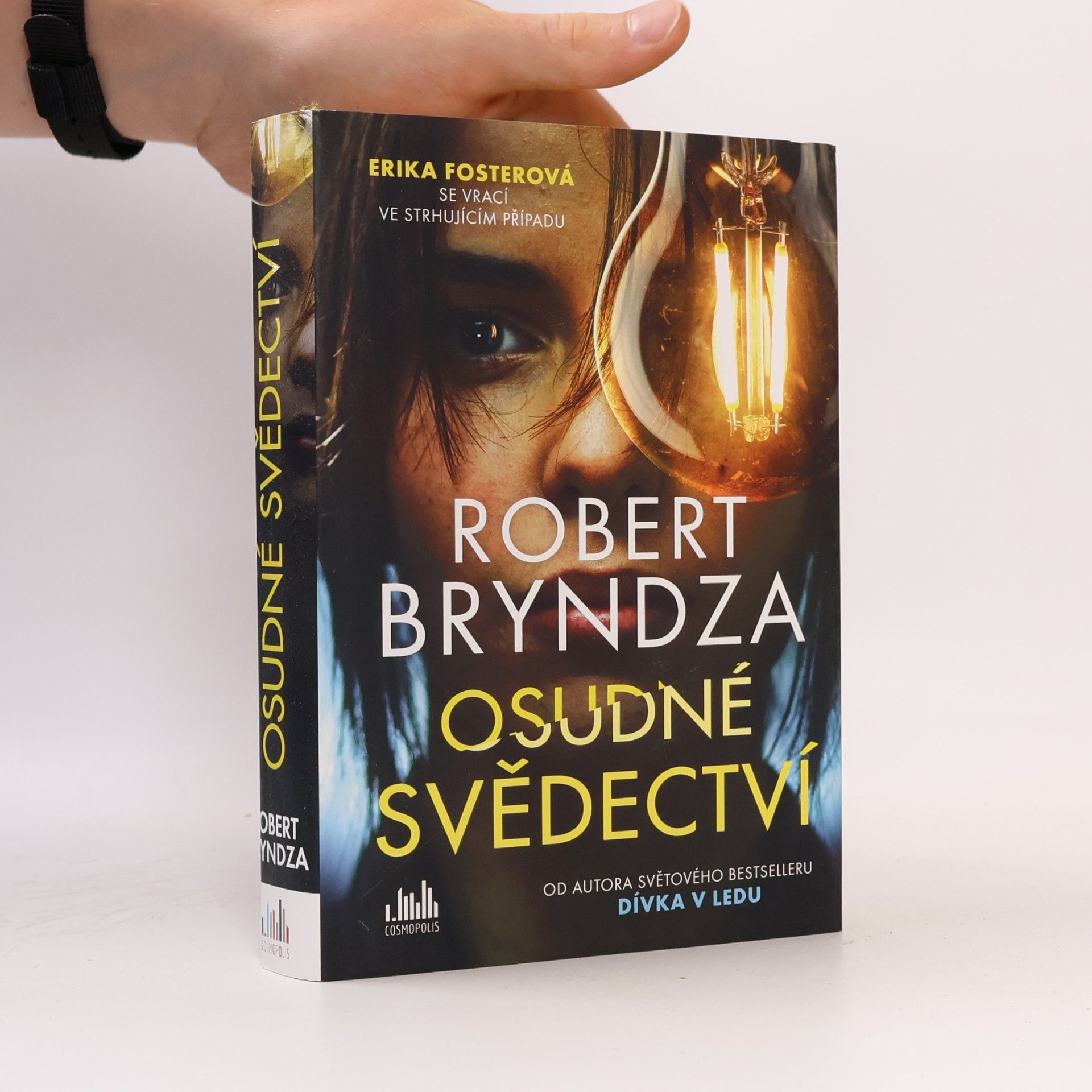Robert Bryndza Osudné svědectví