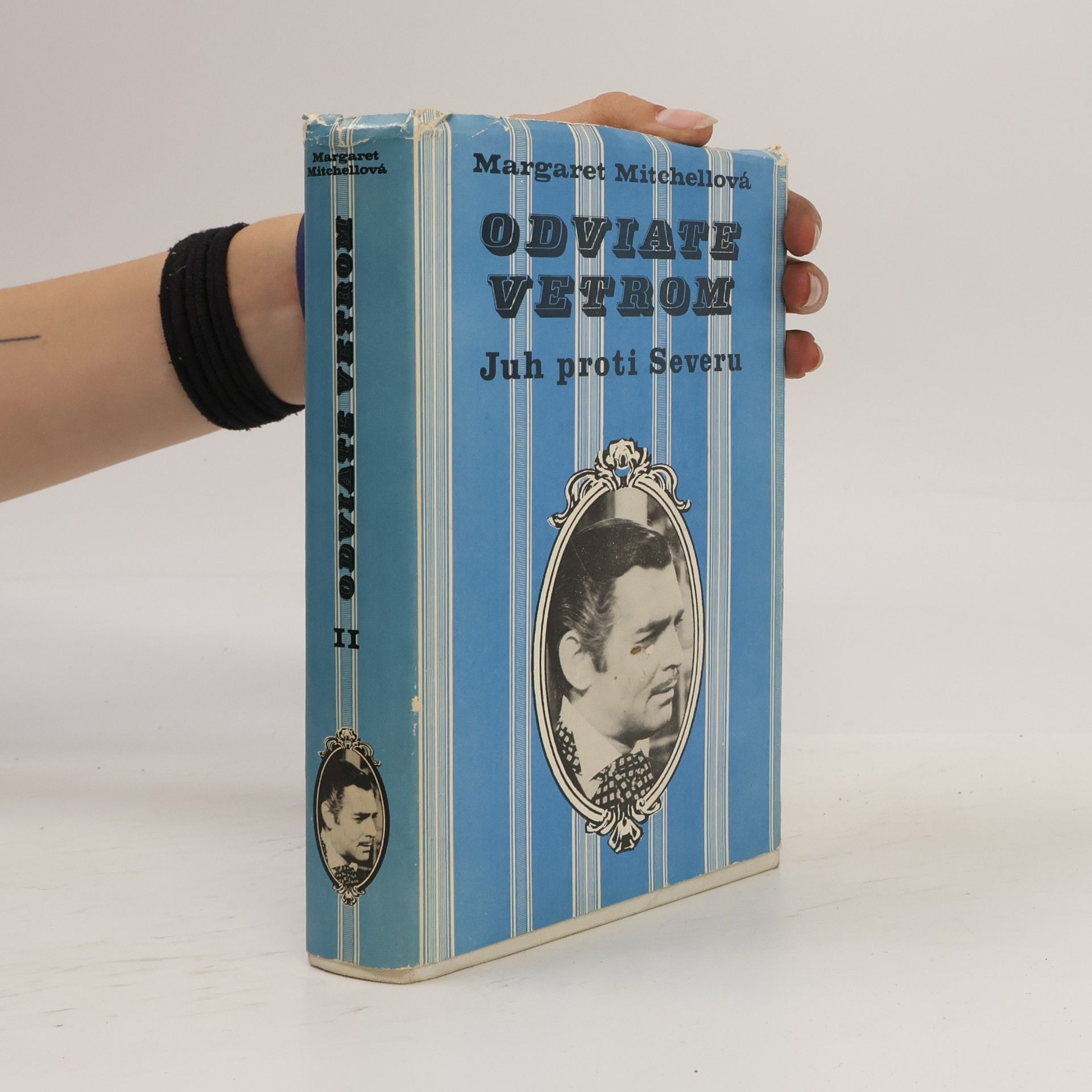 Margaret Mitchell Odviate vetrom. Juh proti Severu II