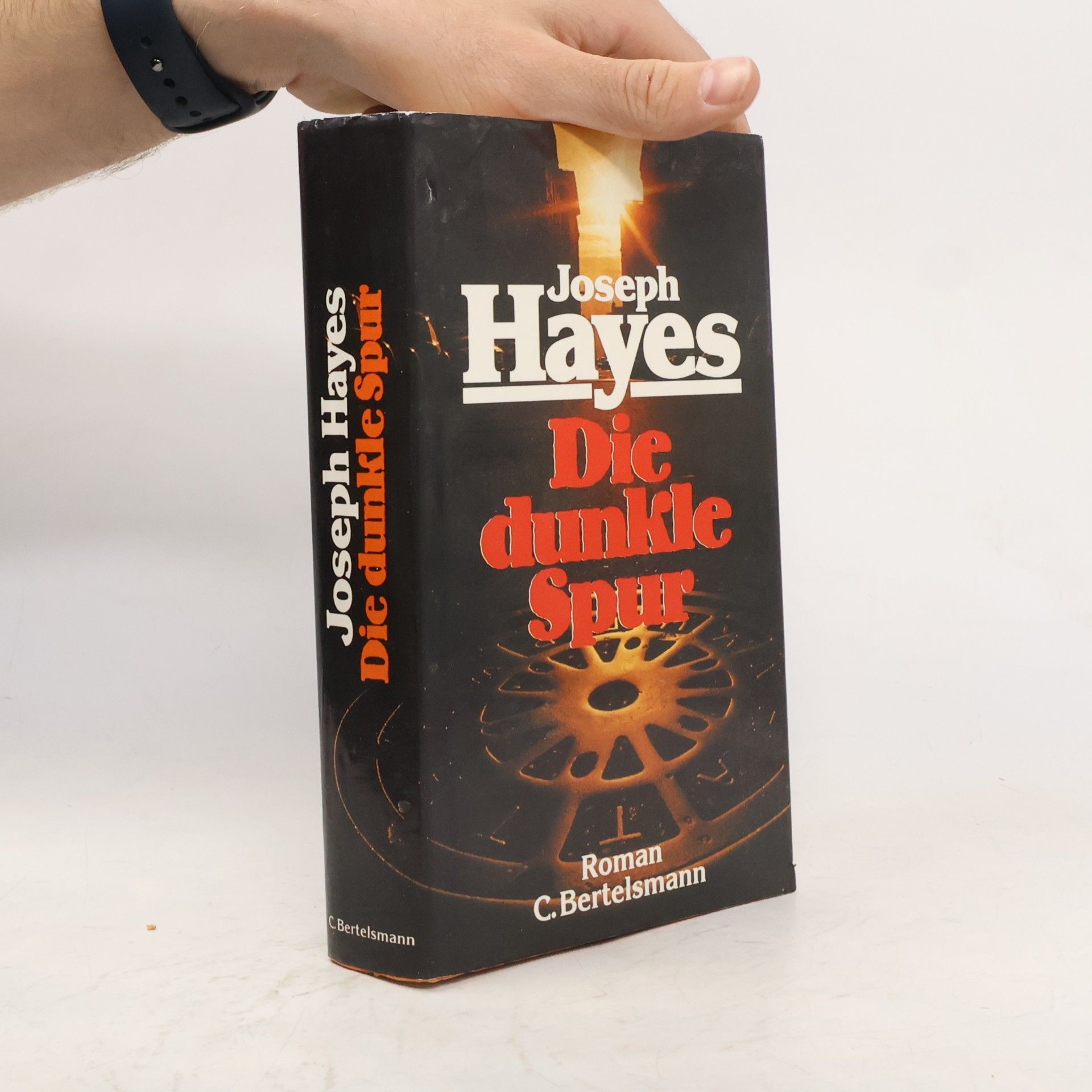 Joseph Hayes Die dunkle Spur