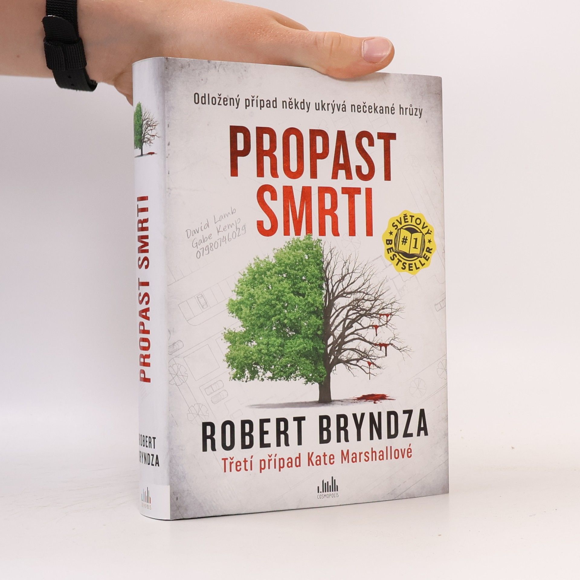 Robert Bryndza Propast smrti