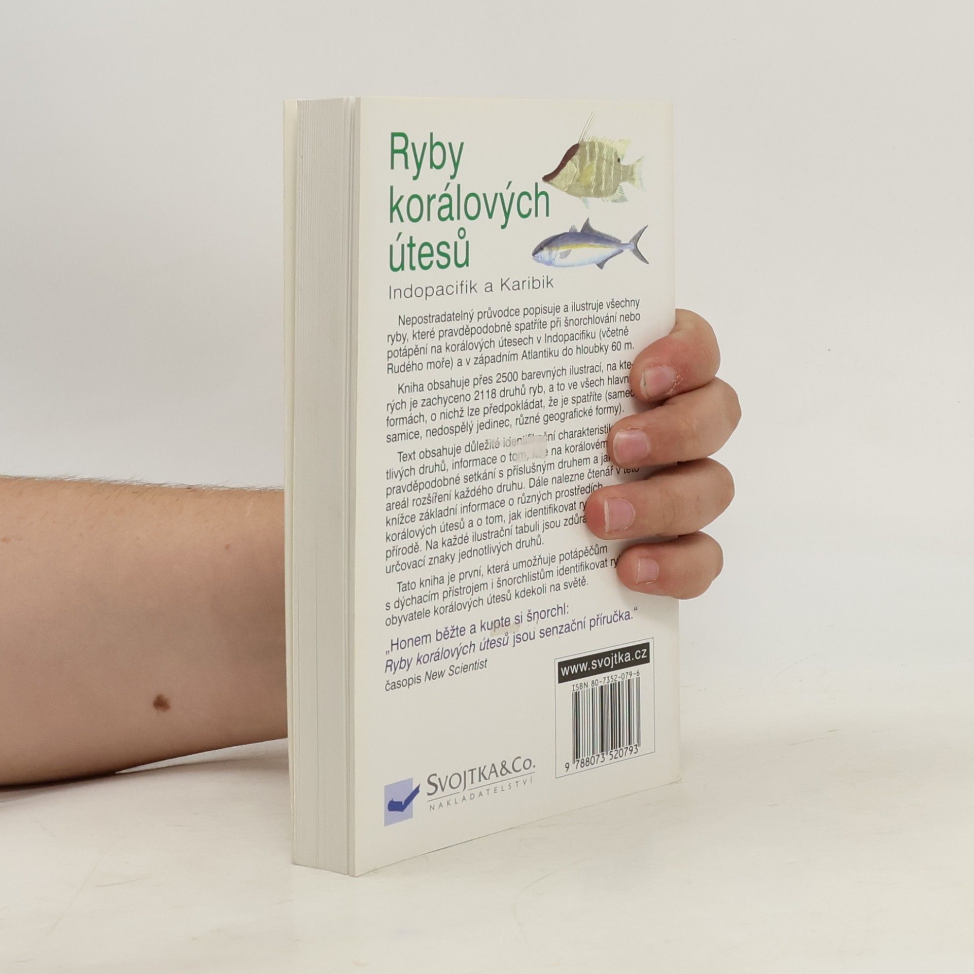 Ewald Lieske Ryby korálových útesů. Indopacifik a Karibik