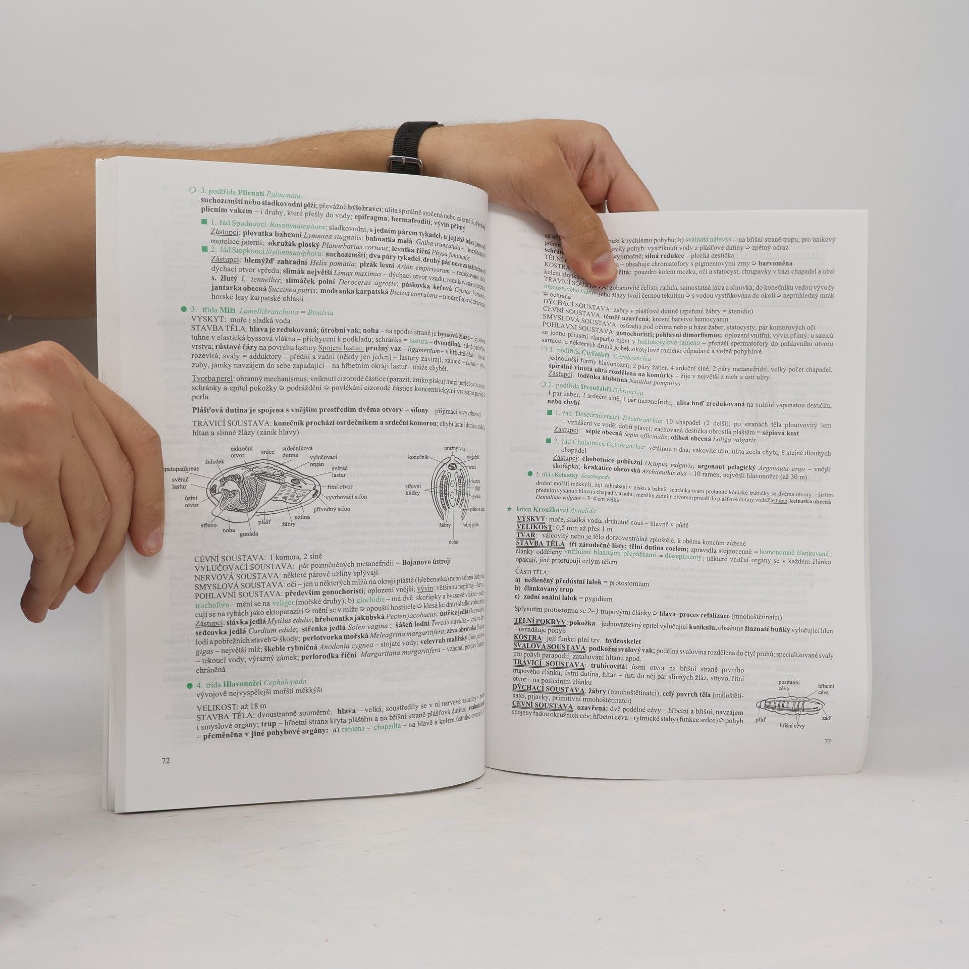 Hana Hančová Biologie v kostce. 2. díl