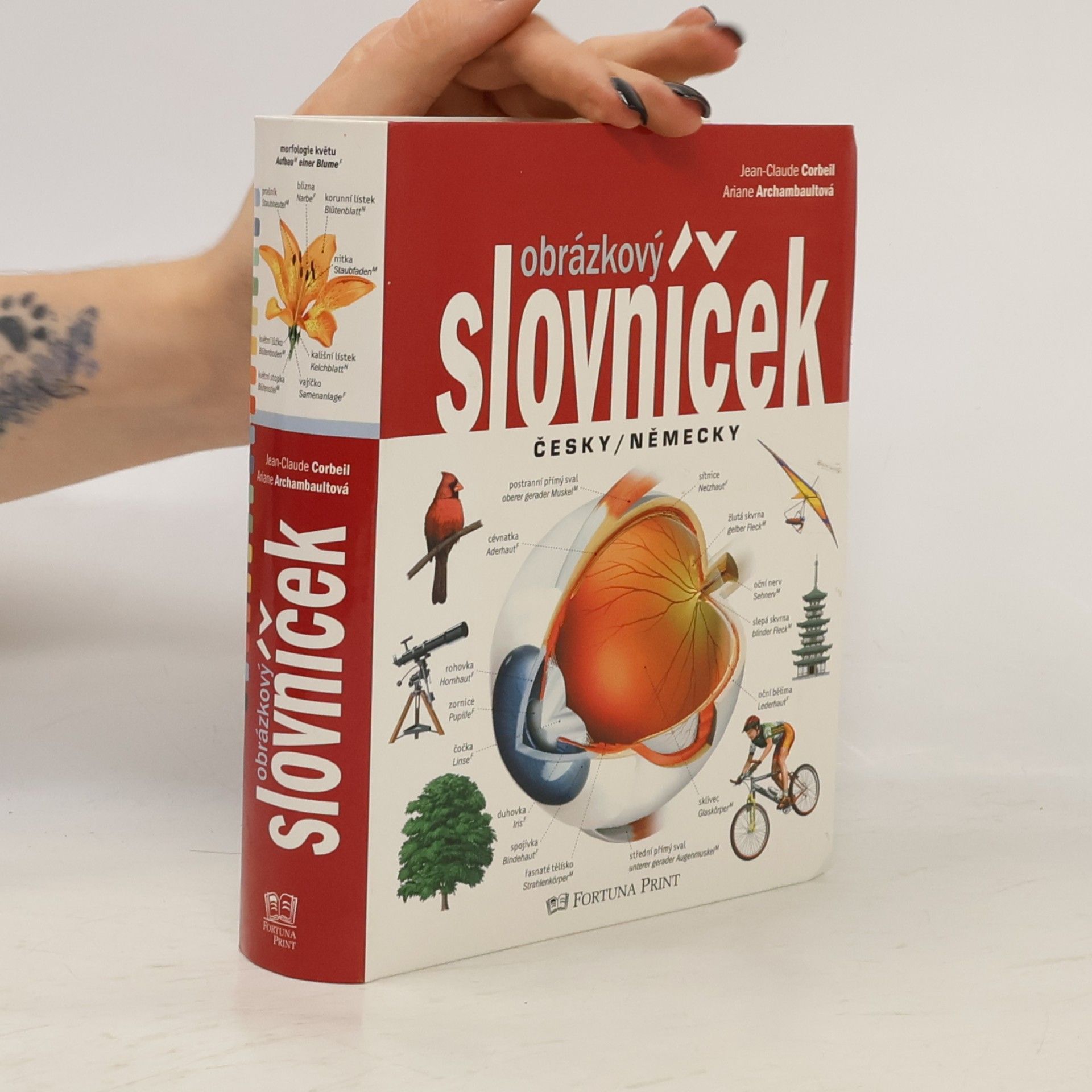 Jean-Claude Corbeil Obrázkový slovníček česky/německy