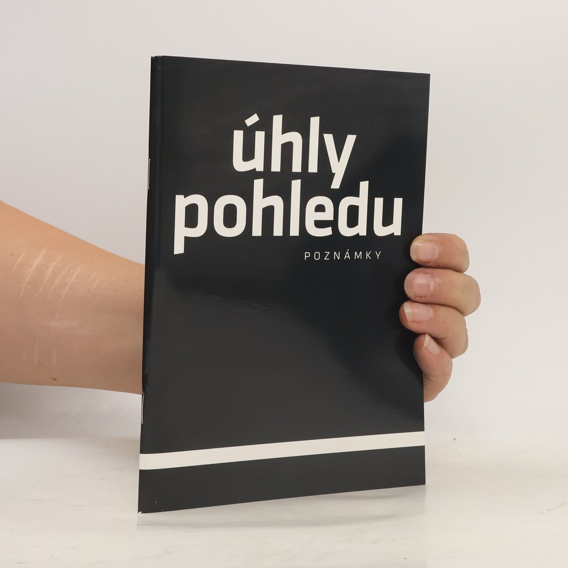 Anne Bogart Úhly pohledu