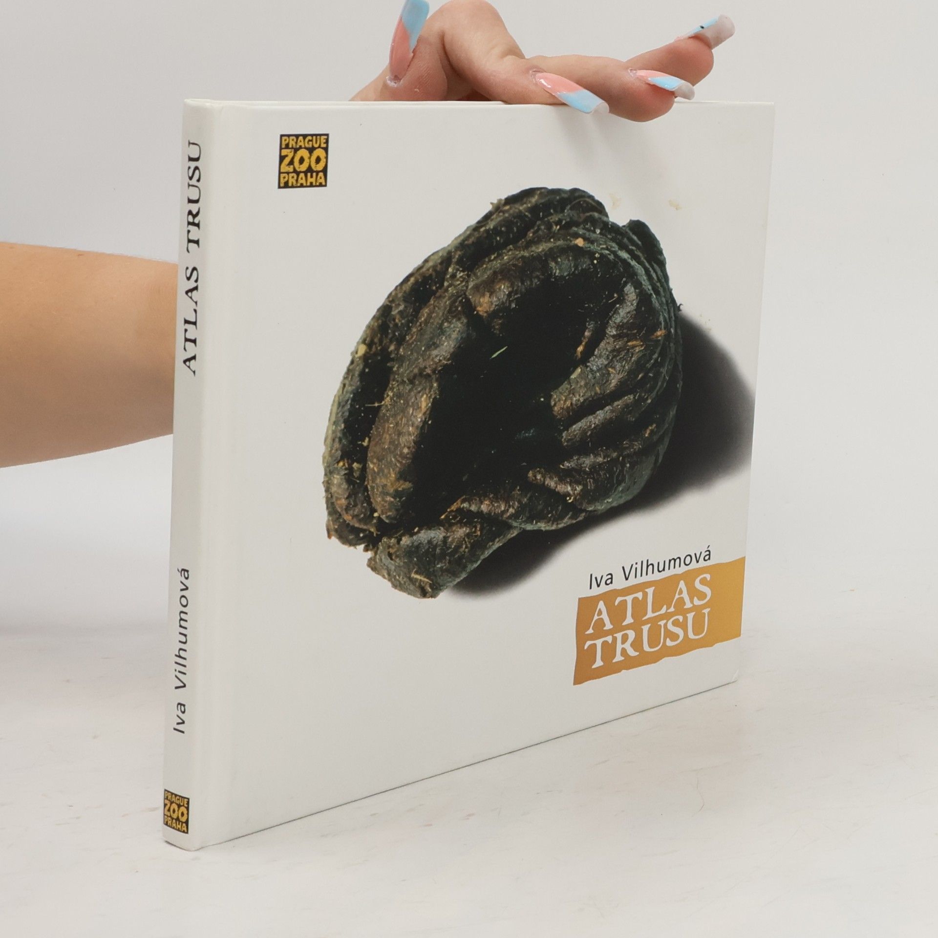 Iva Vilhumová Atlas trusu