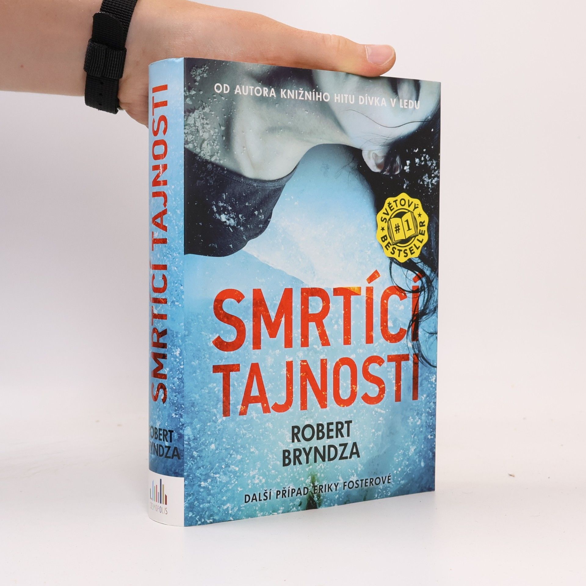 Robert Bryndza Smrtící tajnosti