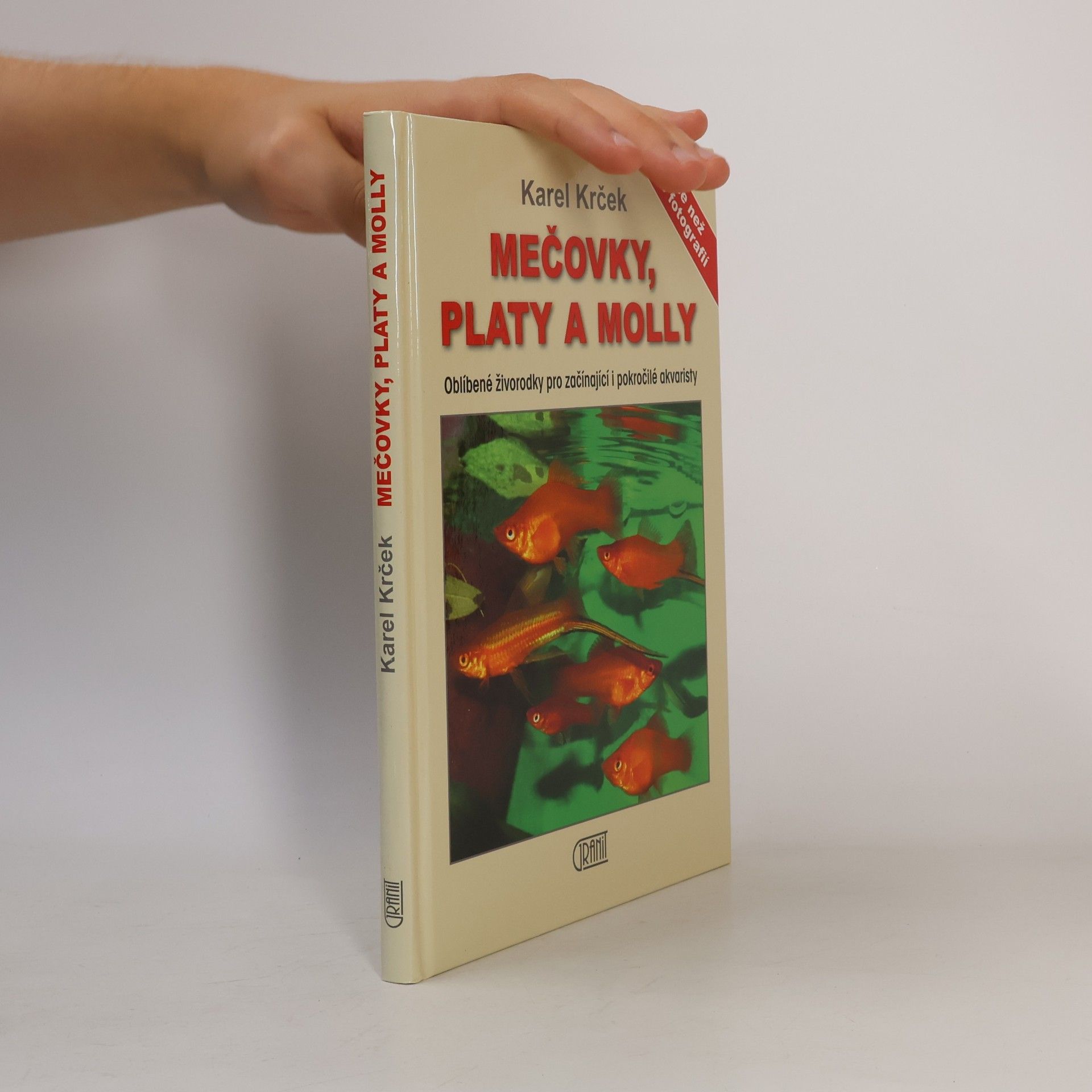 Mečovky, platy a Molly