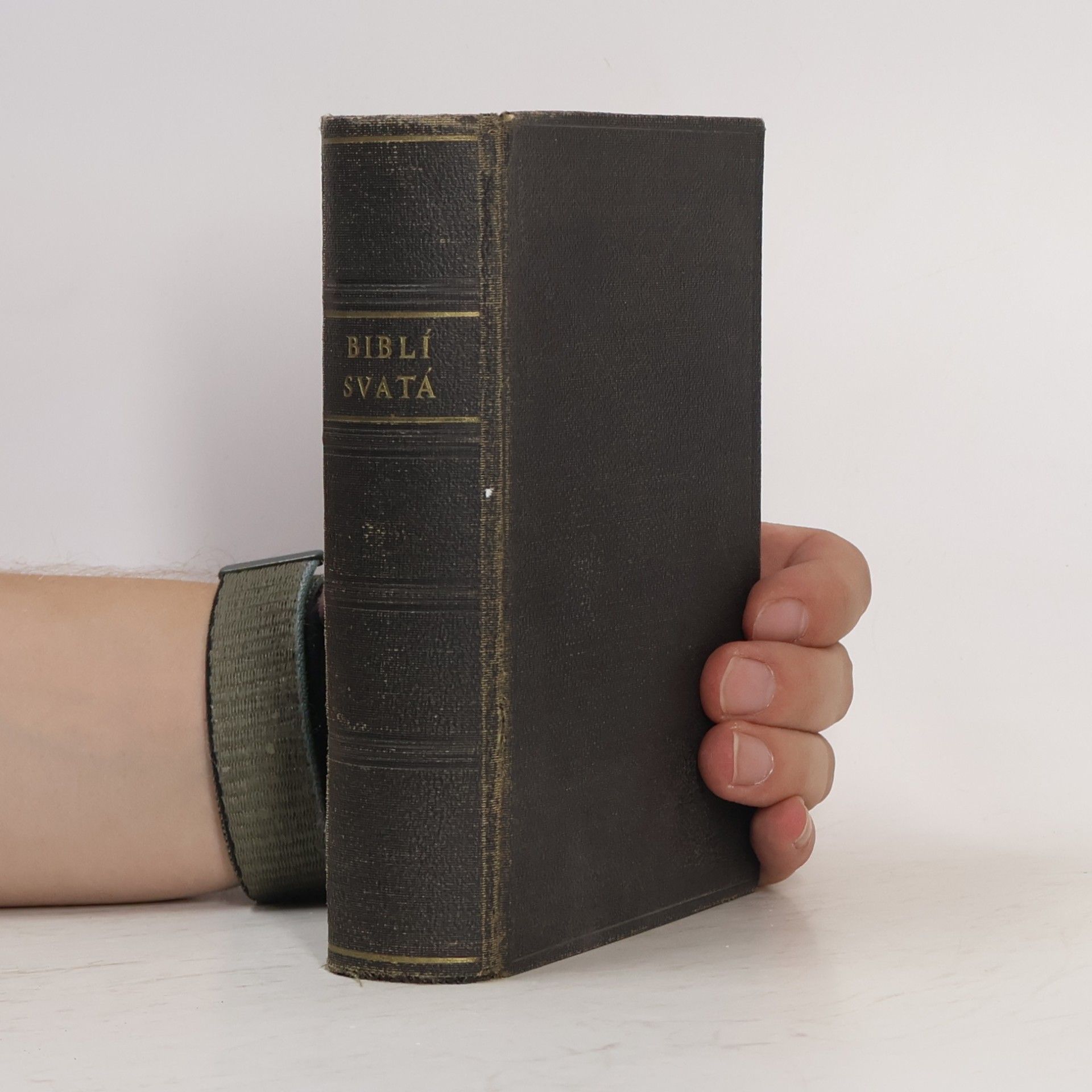 Kolektiv autorů Bible svatá