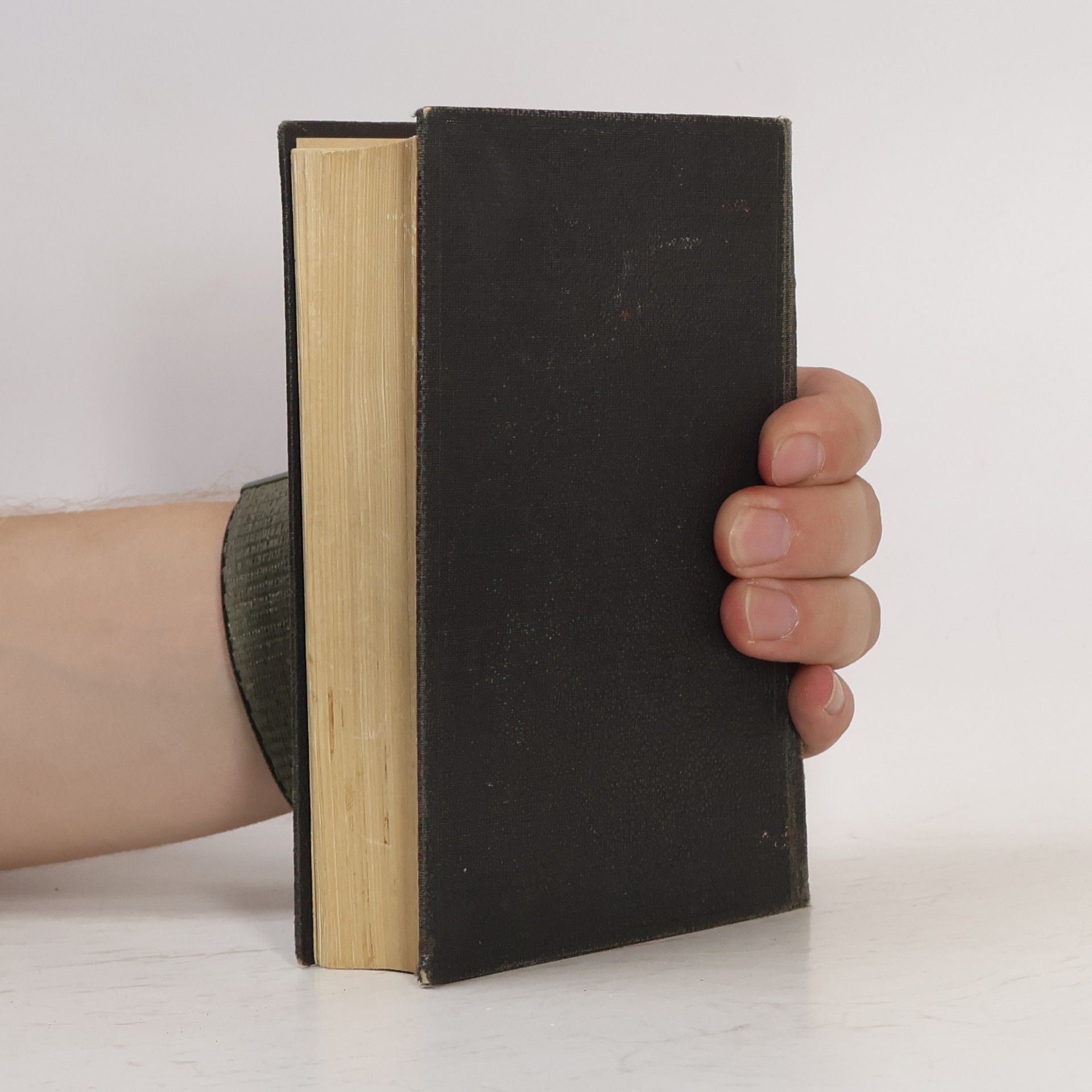 Kolektiv autorů Bible svatá