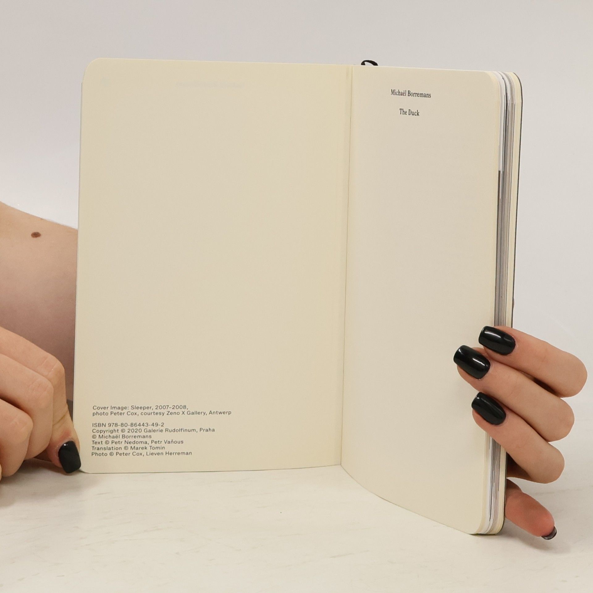 Michael Borremans The Duck