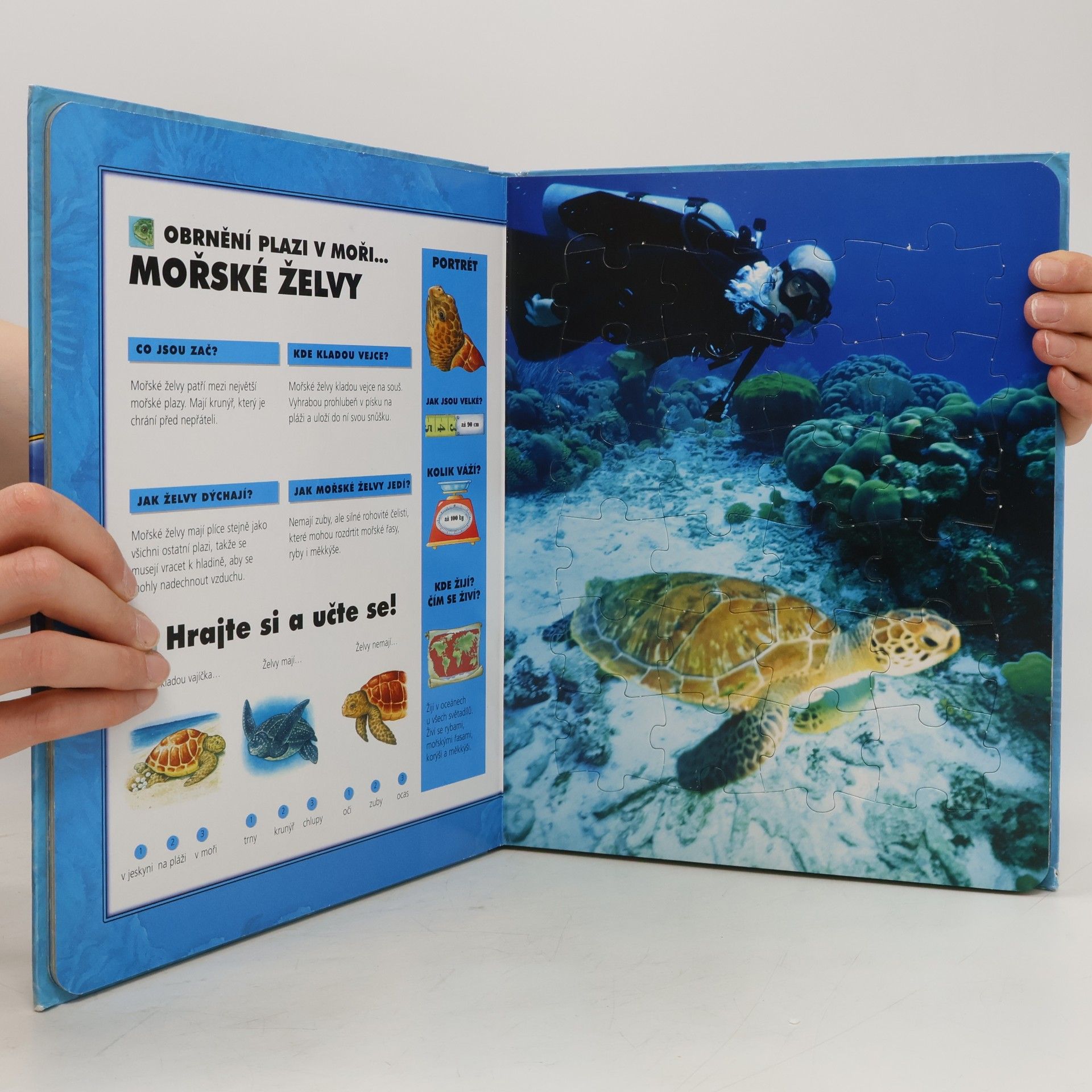 Autores varios Zvířátka v mořích a oceánech: Knížka s puzzle