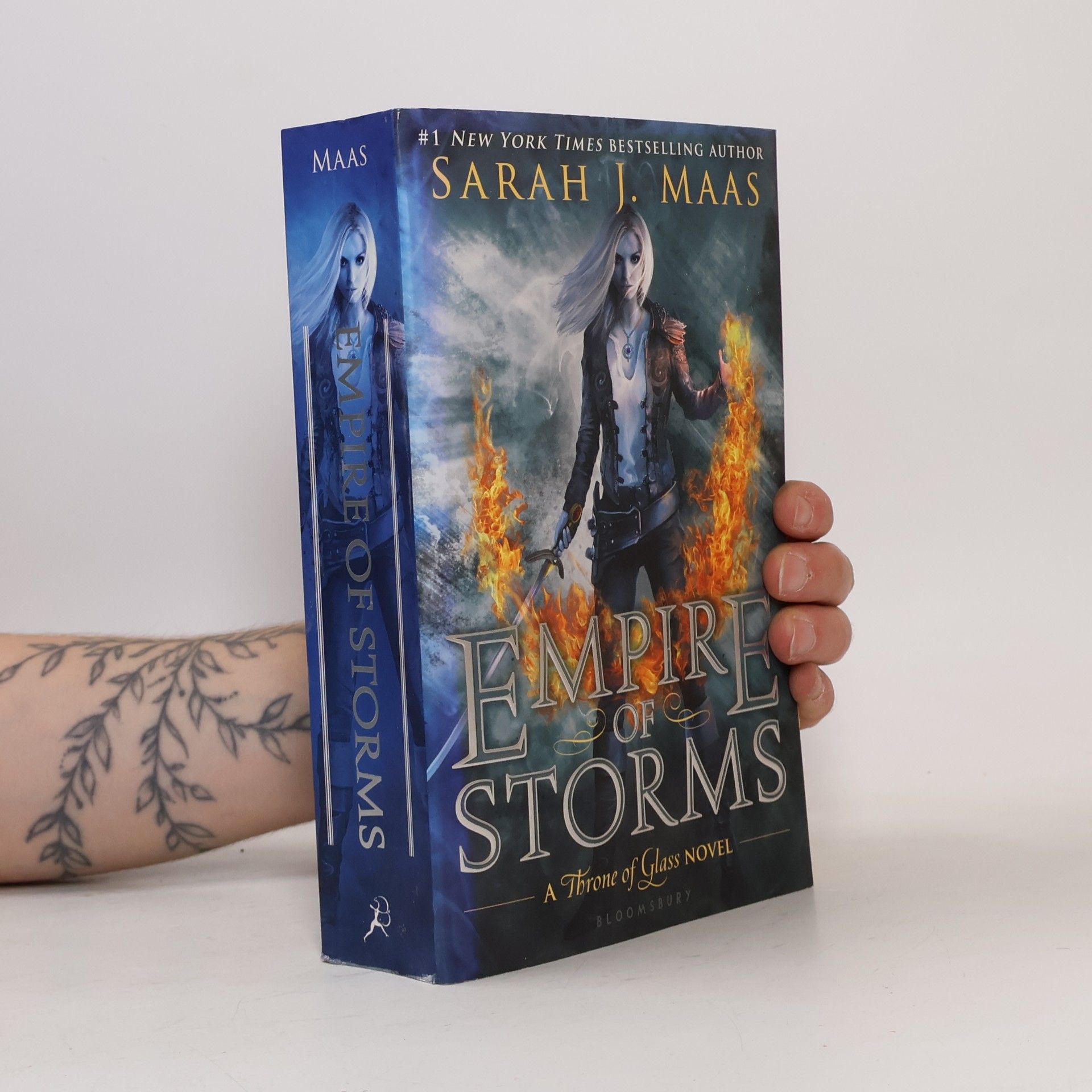Sarah J. Maas Empire of Storms (English Edition)