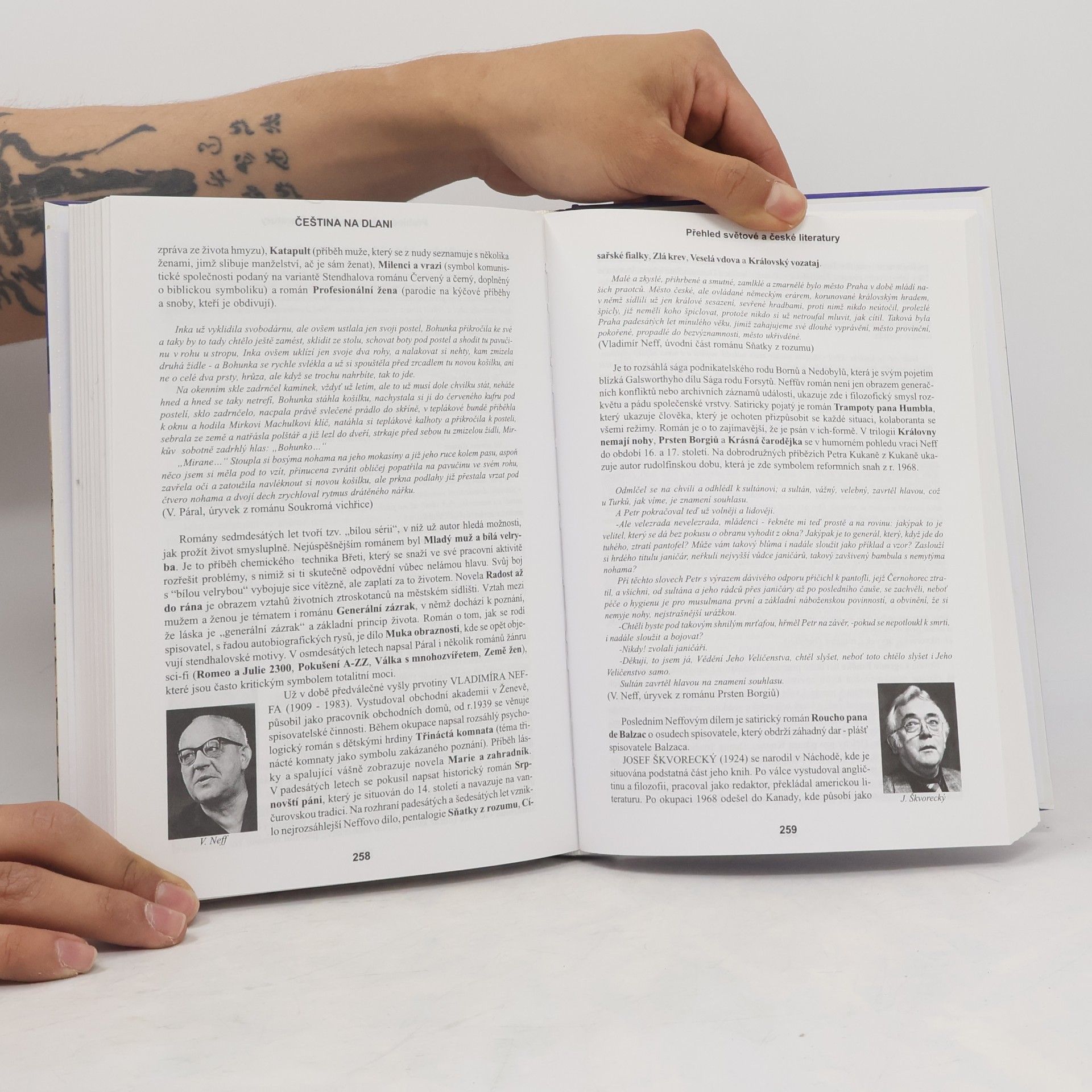 Alois Bauer Čeština na dlani. Přehled světové a české literatury