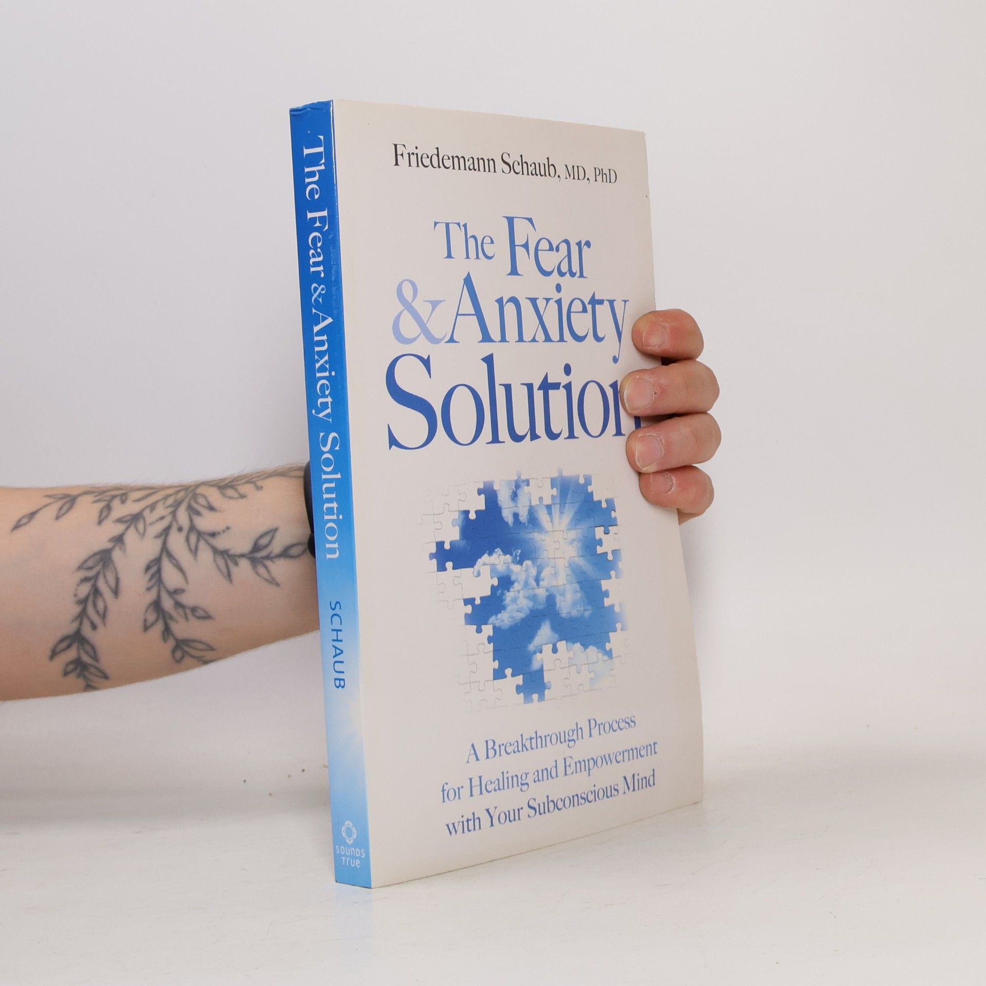 Friedemann Schaub Fear And Anxiety Solution