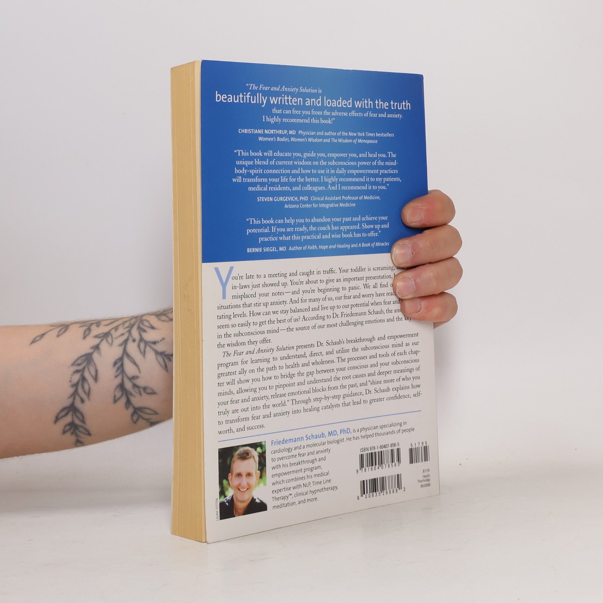 Friedemann Schaub Fear And Anxiety Solution