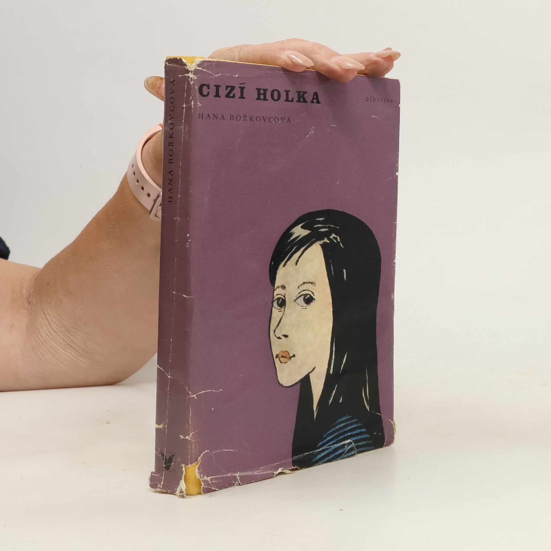 Hana Bořkovcová Cizí holka