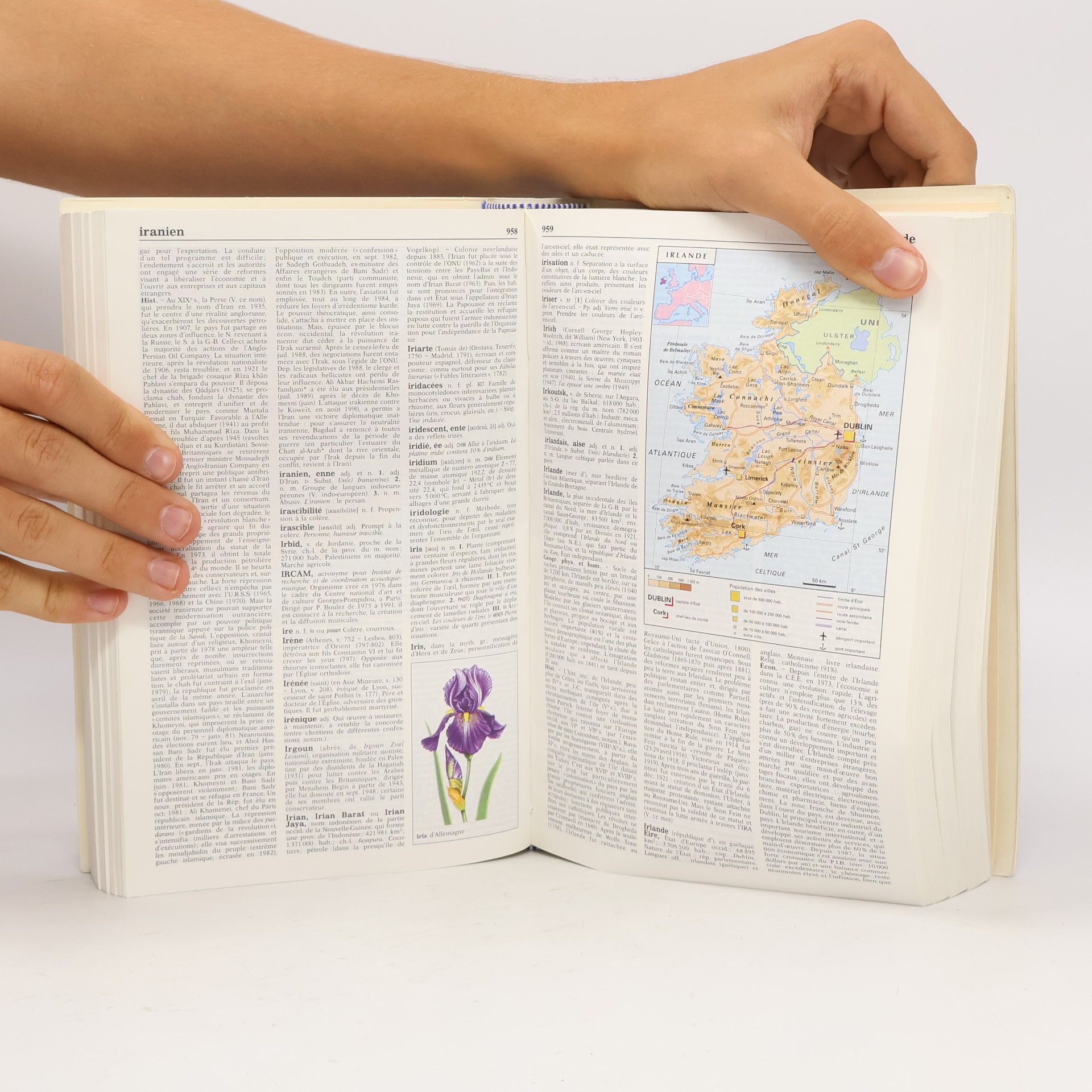 Le Dictionnaire Essentiel