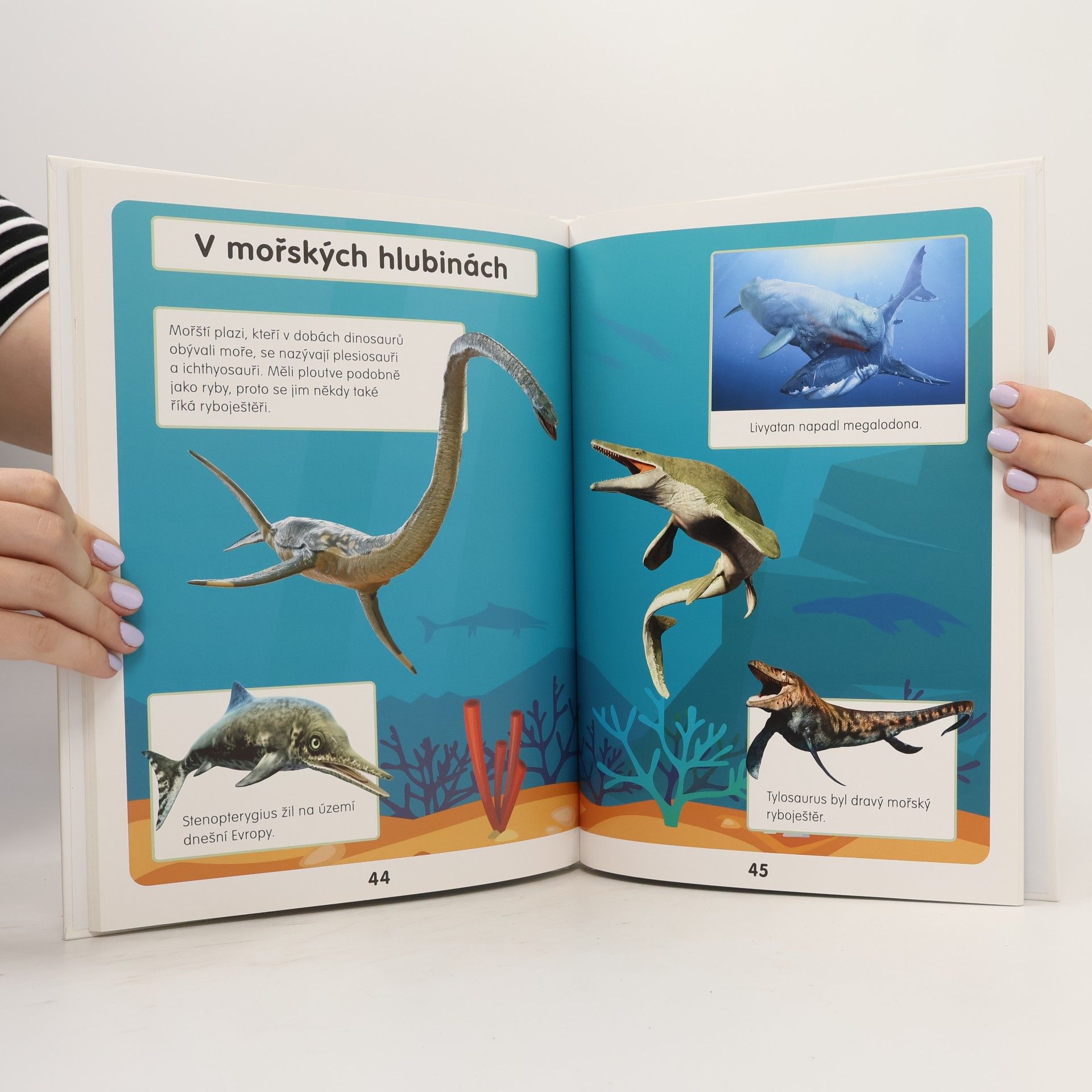 Melanie Hibbert Moji první dinosauři