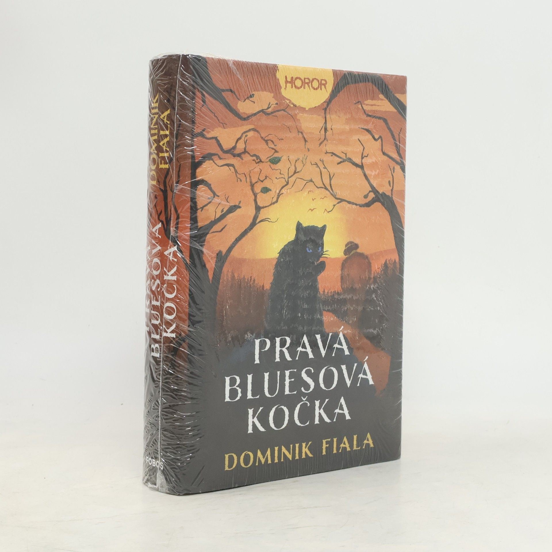 Dominik Fiala Pravá bluesová kočka