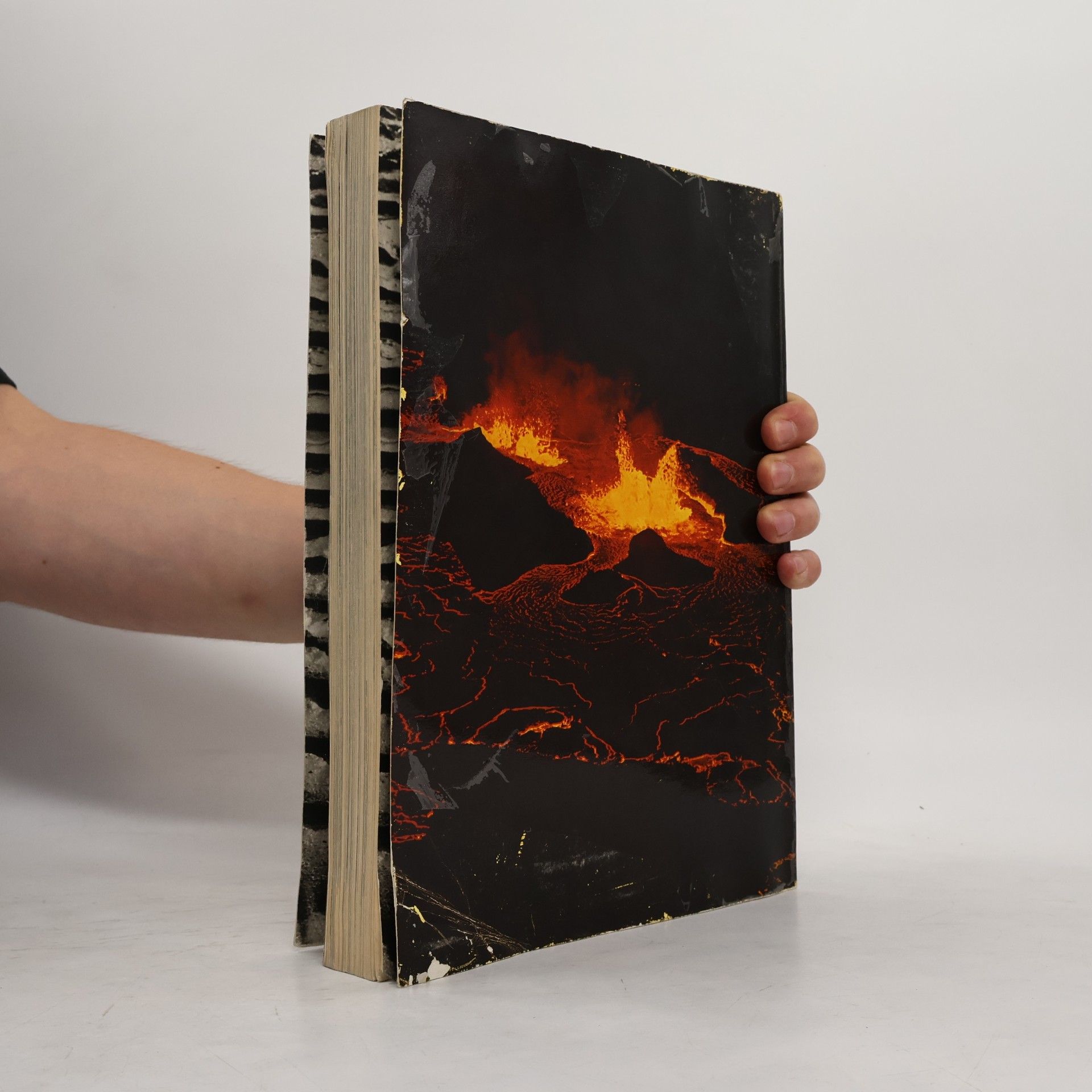 Autorenkollektiv LArousse Encyclopedia of the Earth