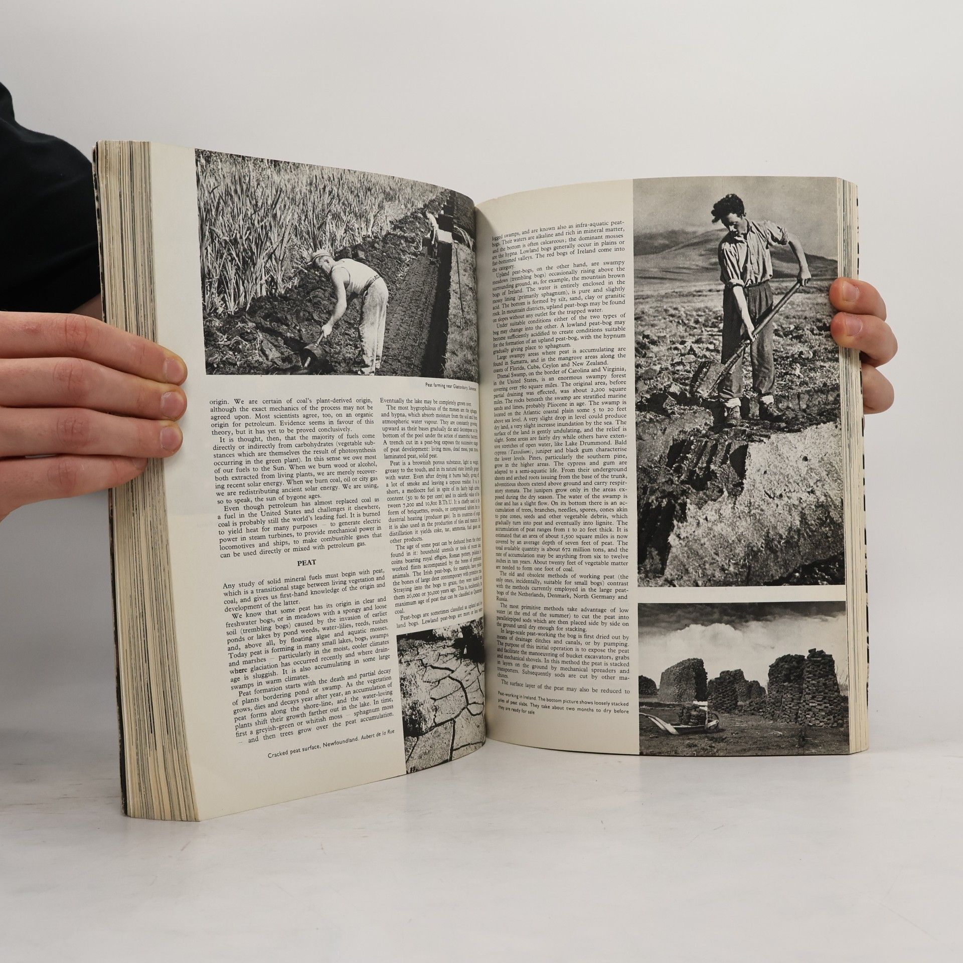 Autorenkollektiv LArousse Encyclopedia of the Earth