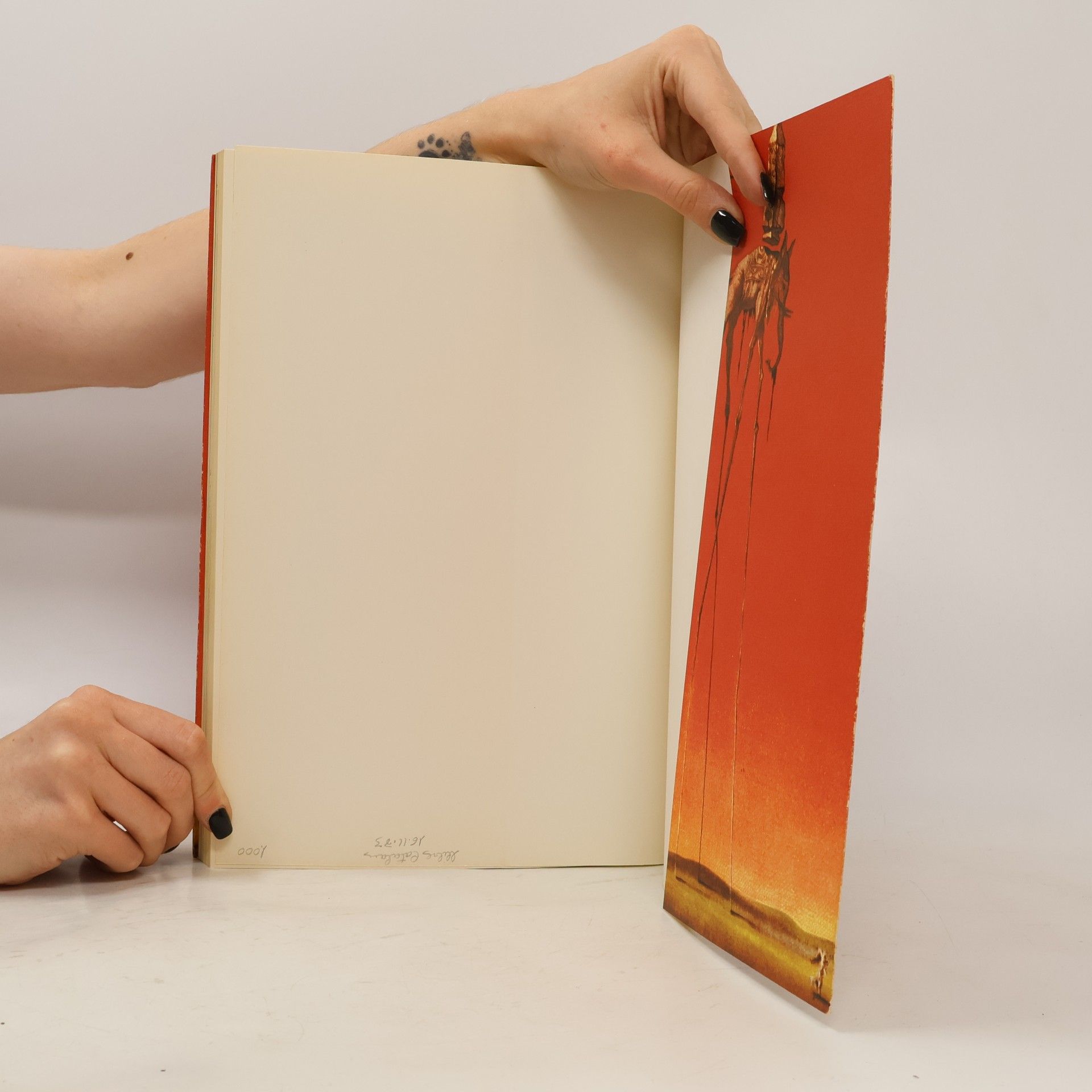 Salvador Dalí Dalí i els llibres