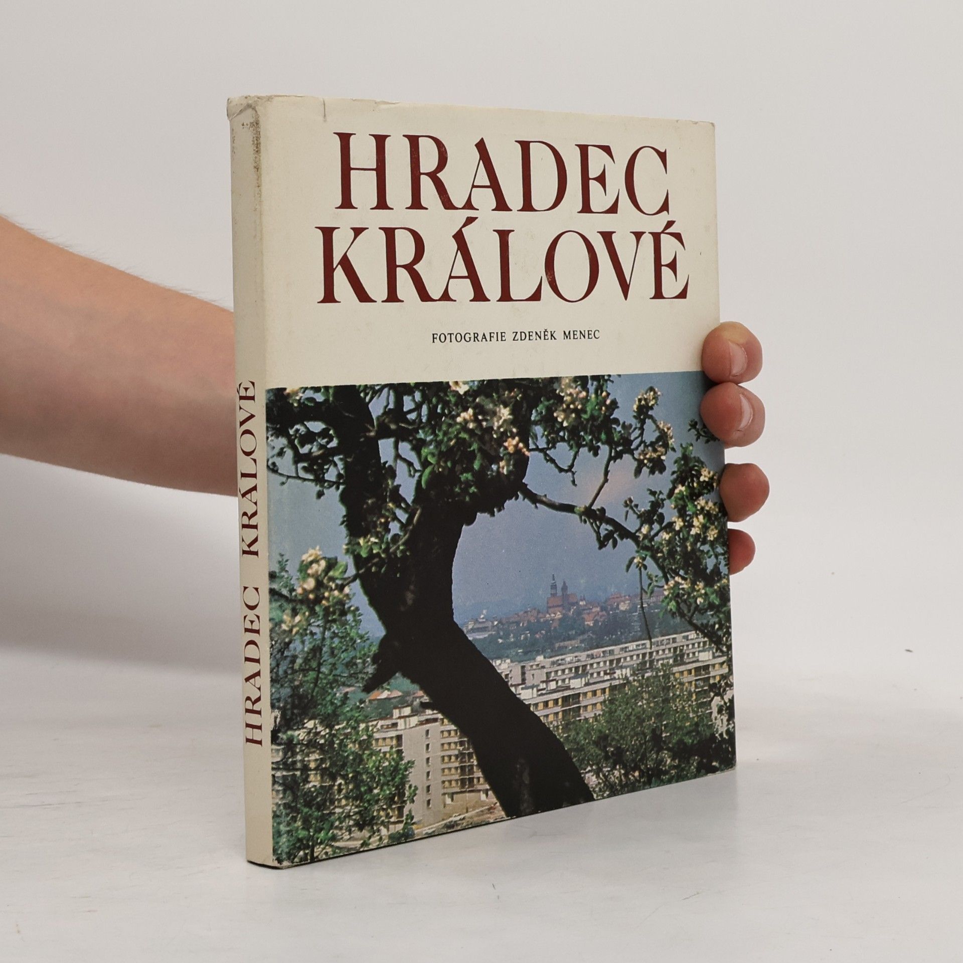 Zdeněk Menec Hradec Králové