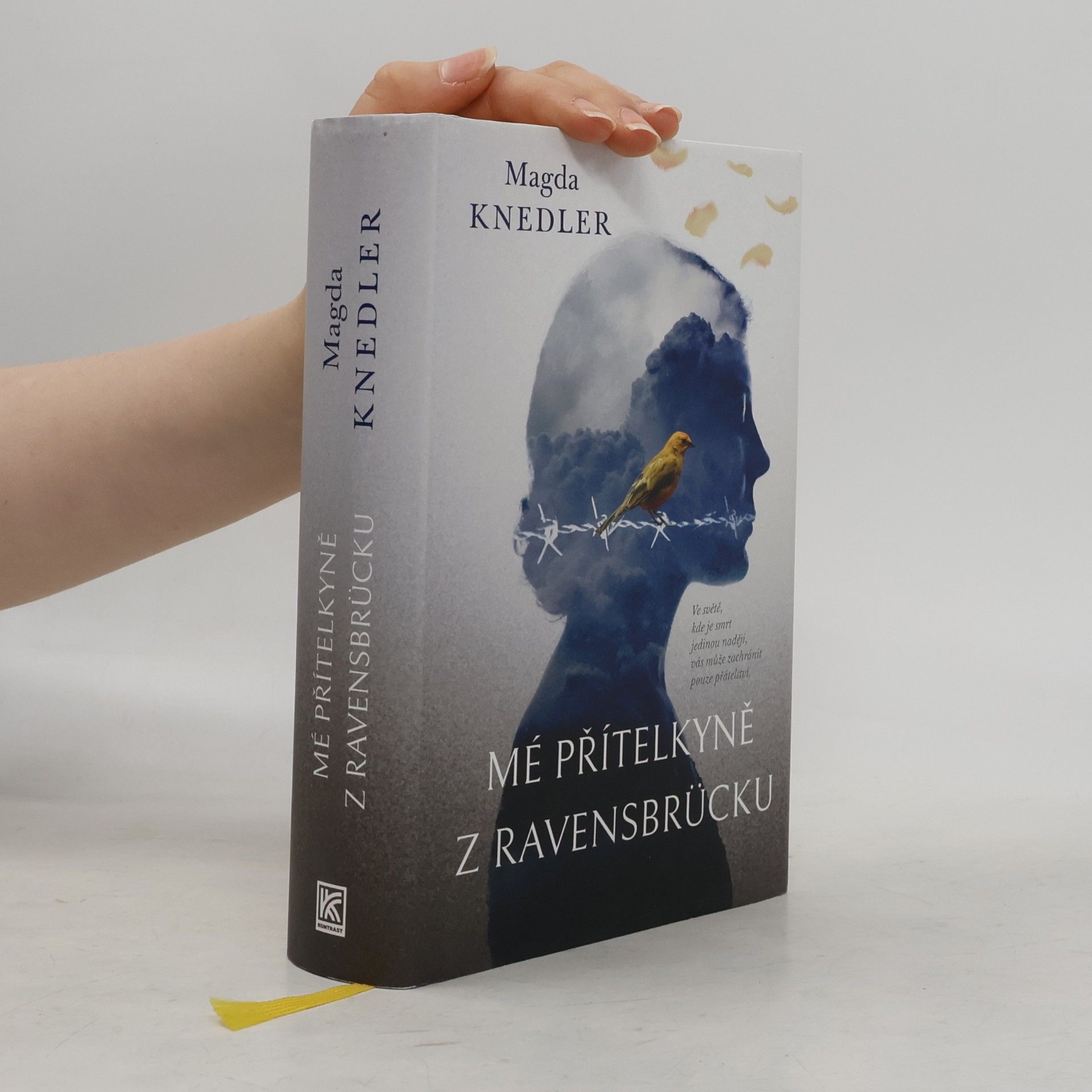 Magdalena Knedler Mé přítelkyně z Ravensbrücku