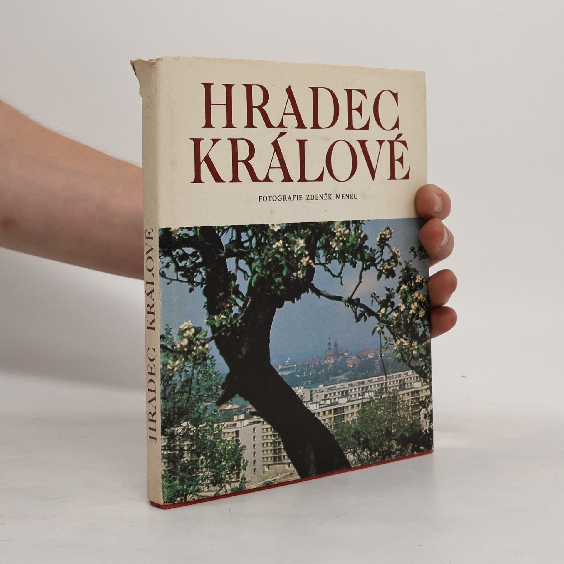 Zdeněk Menec Hradec Králové