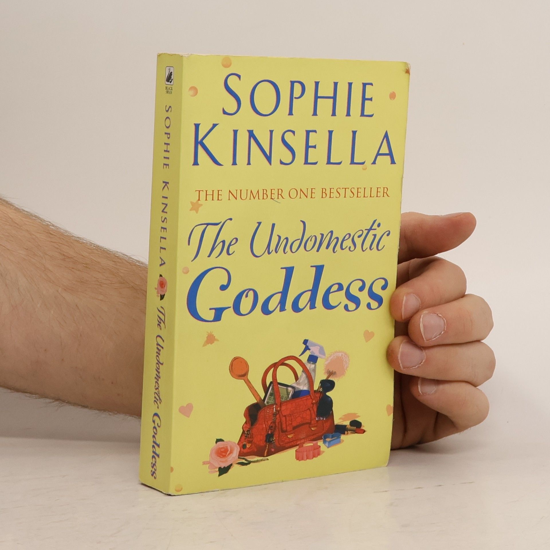 Sophie Kinsella The Undomestic Goddess