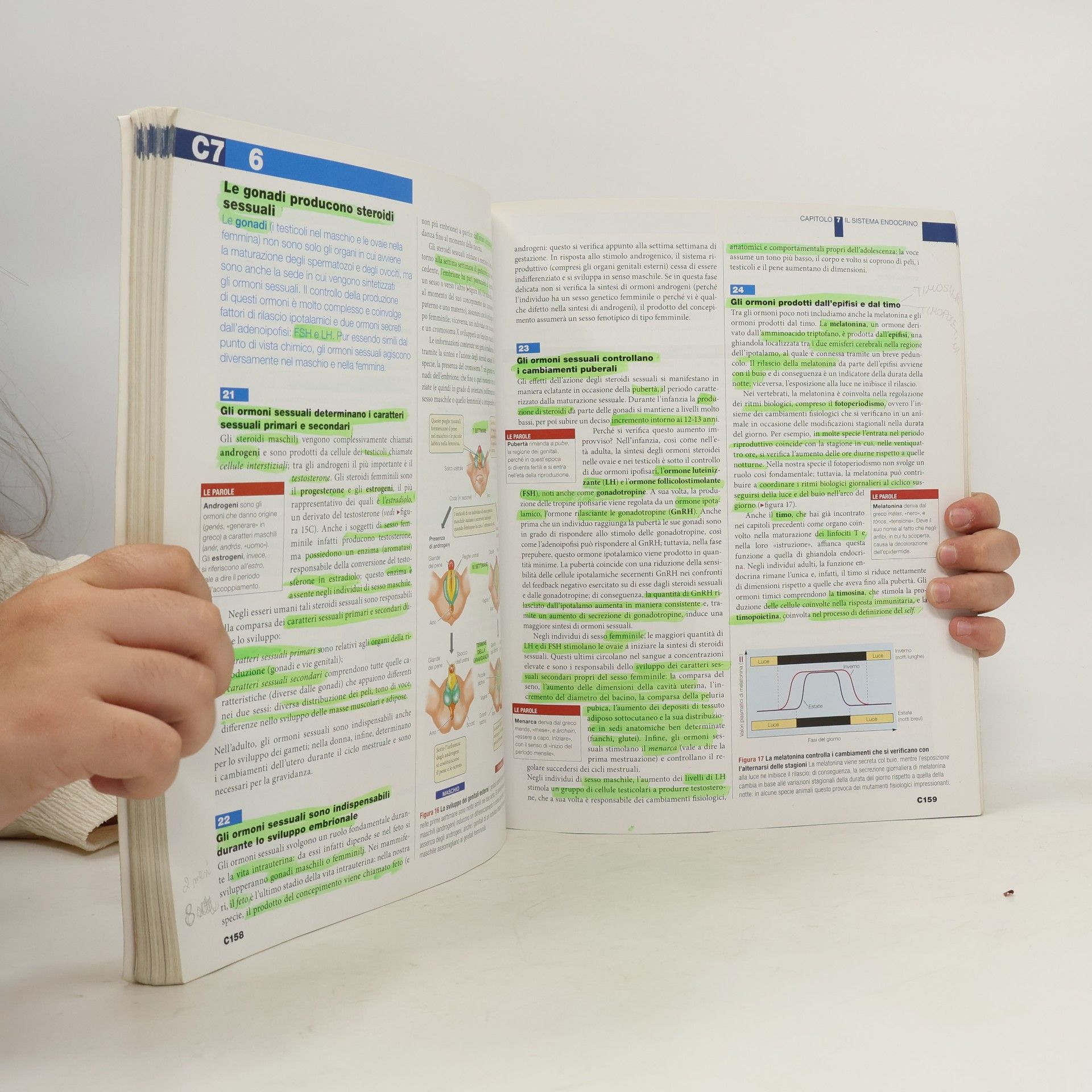 David E. Sadava Biologia.blu. corpo umano. con interactive e-book. per le scuole superiori. con espansione online
