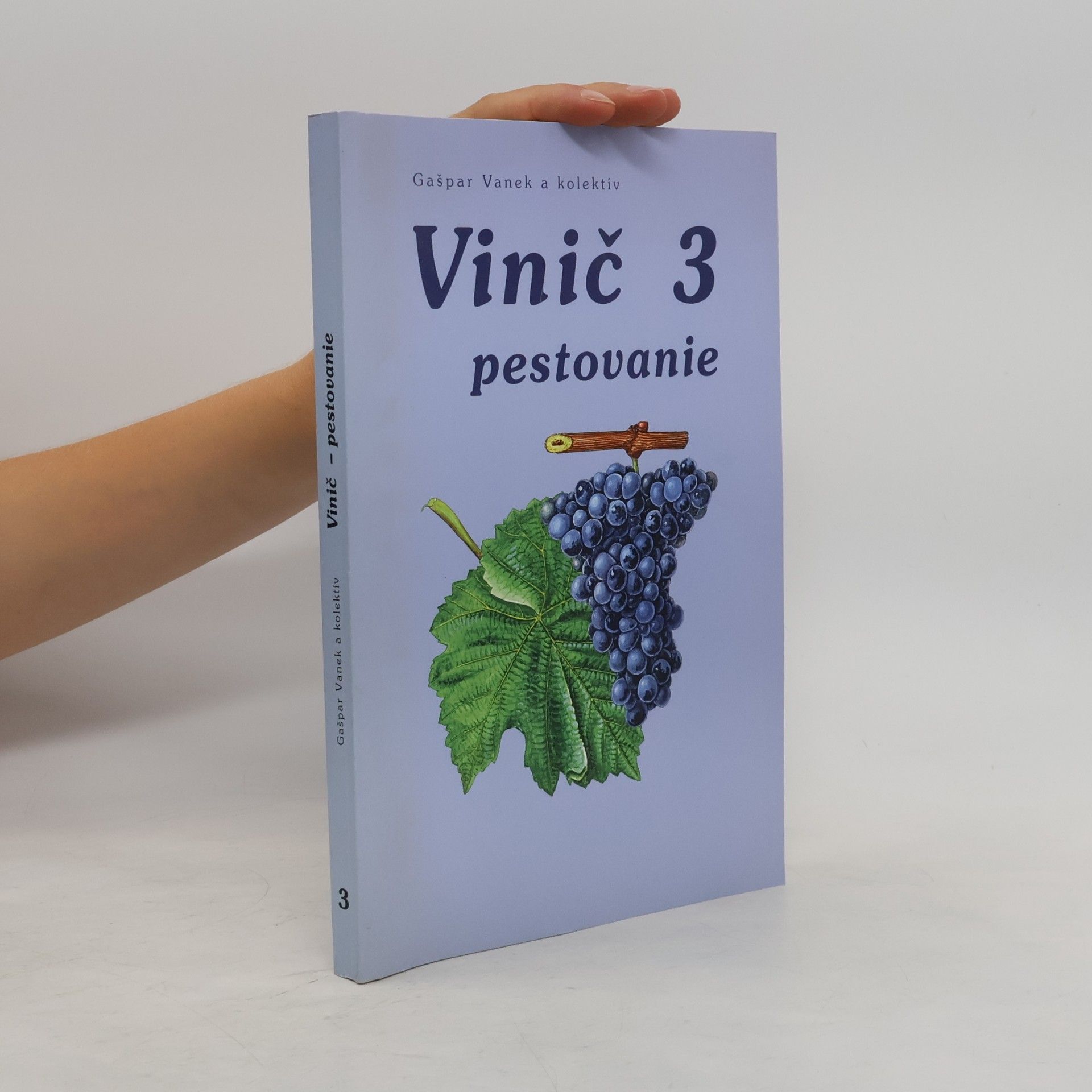 Vinič
