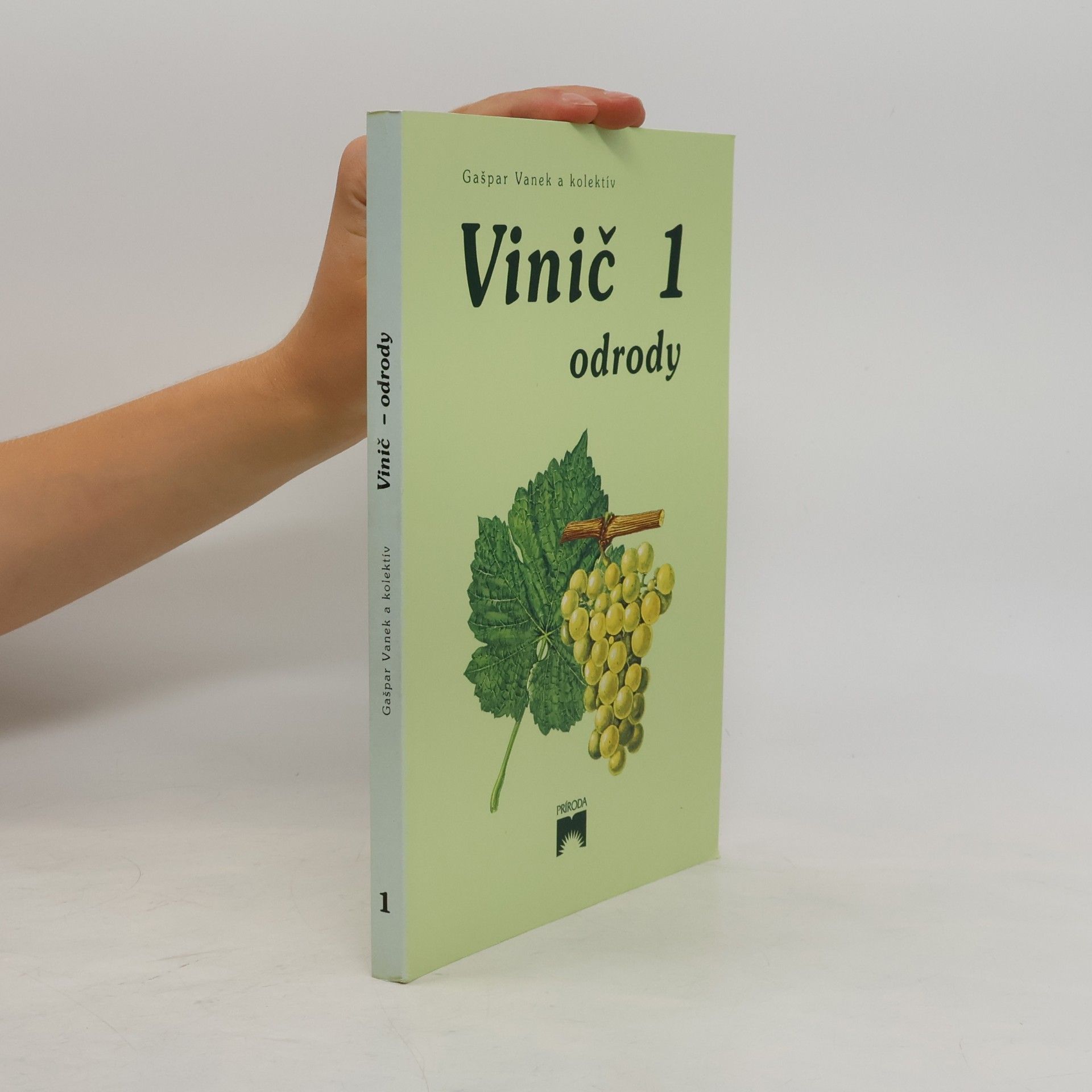 Gašpar Vanek Vinič 1. Odrody