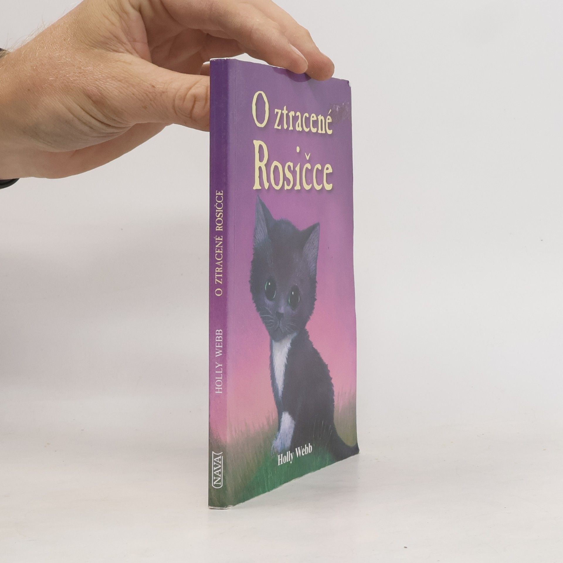 Holly Webb O ztracené Rosičce