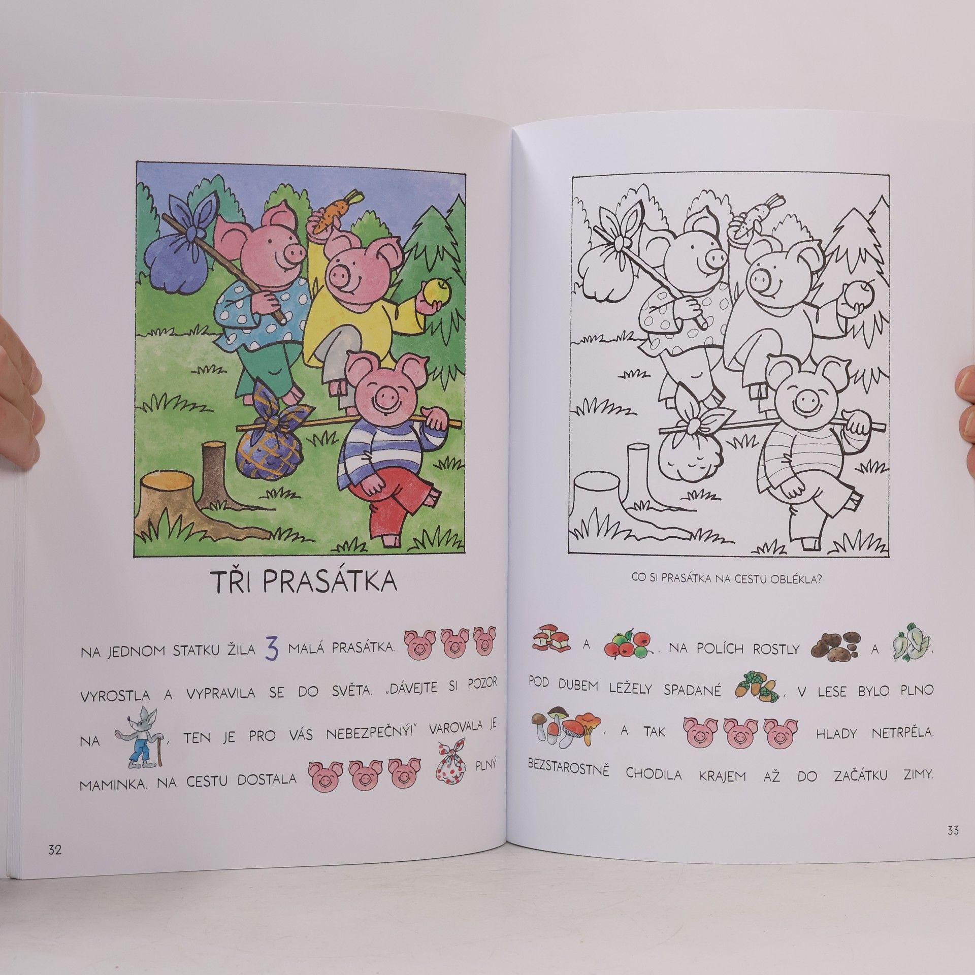 Marie Adamovská Čteme s obrázky: České pohádky