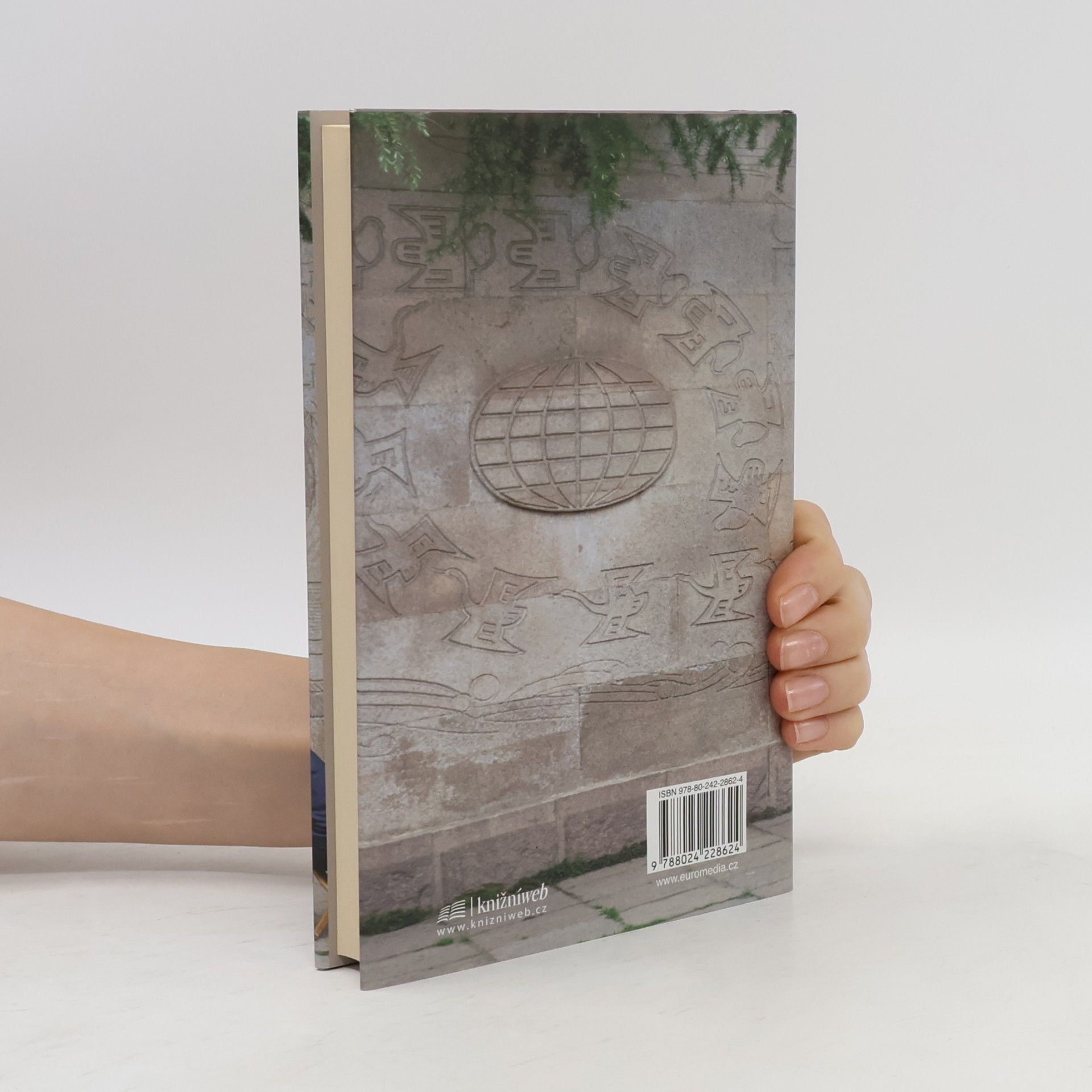 Yiyun Li Tisíc let vroucích modliteb