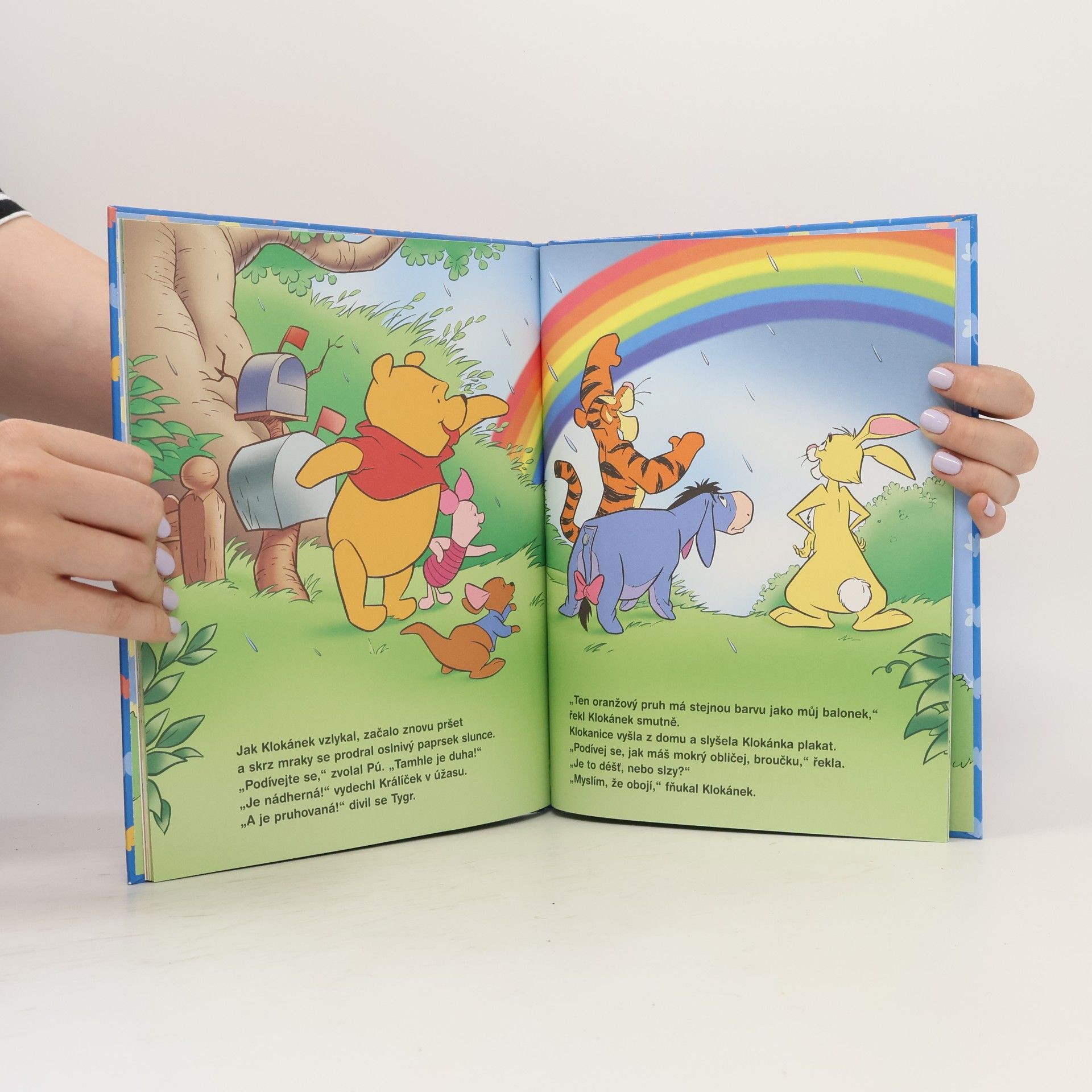 Walt Disney Medvídek Pú - Bouřlivé narozeniny