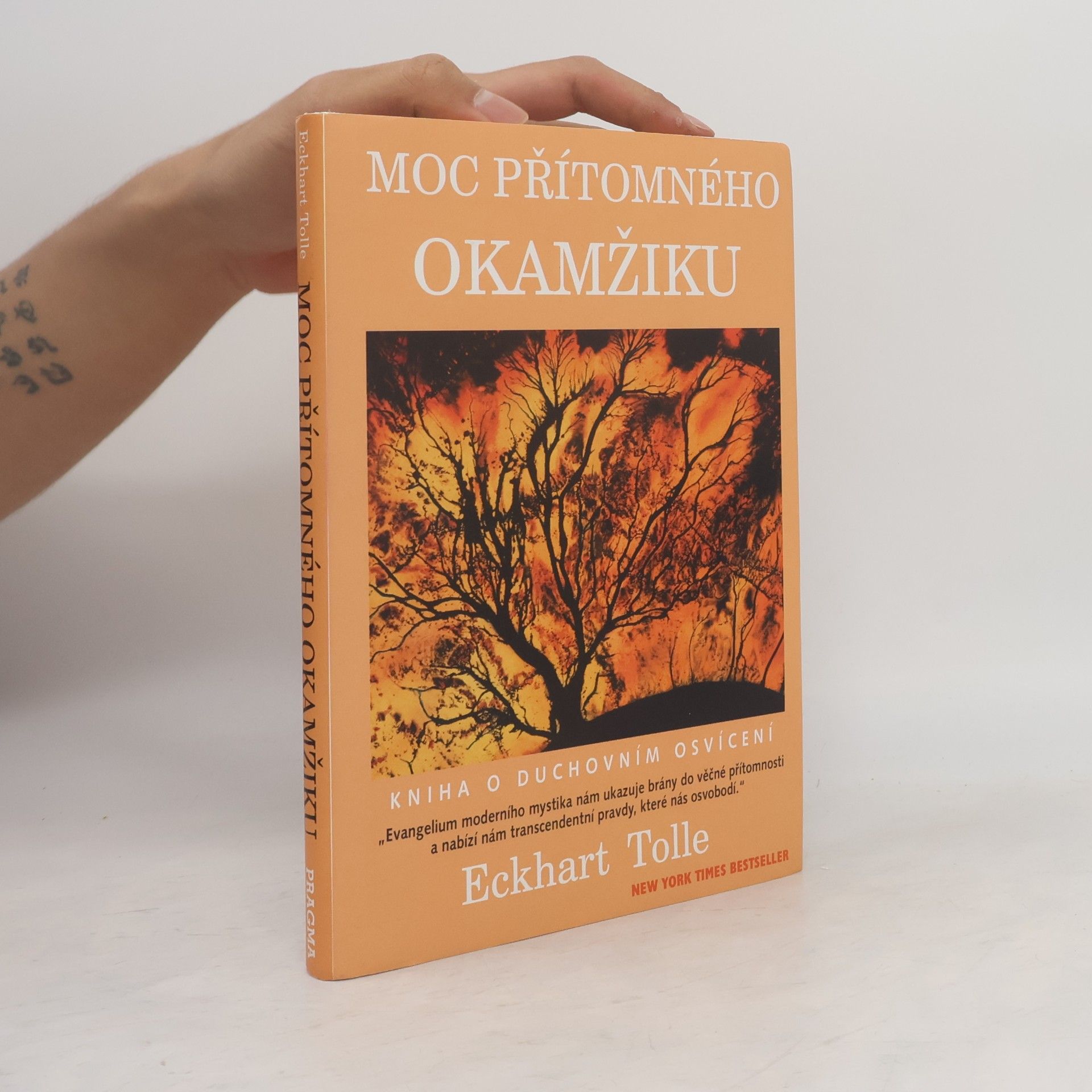Eckhart Tolle Moc přítomného okamžiku