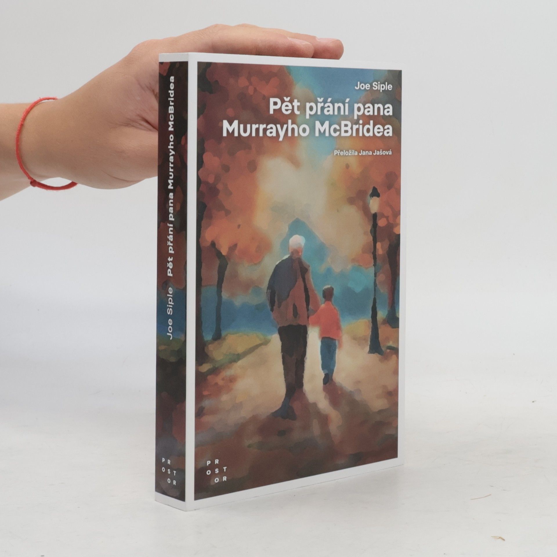 Joe Siple Pět přání pana Murrayho McBridea