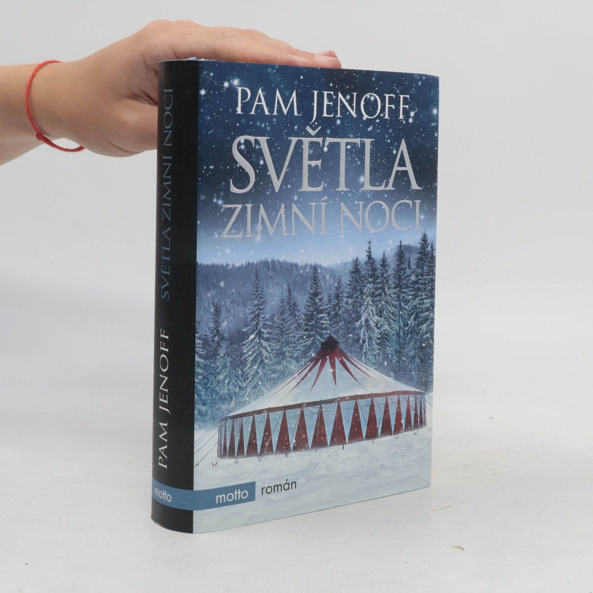 Pam Jenoff Světla zimní noci