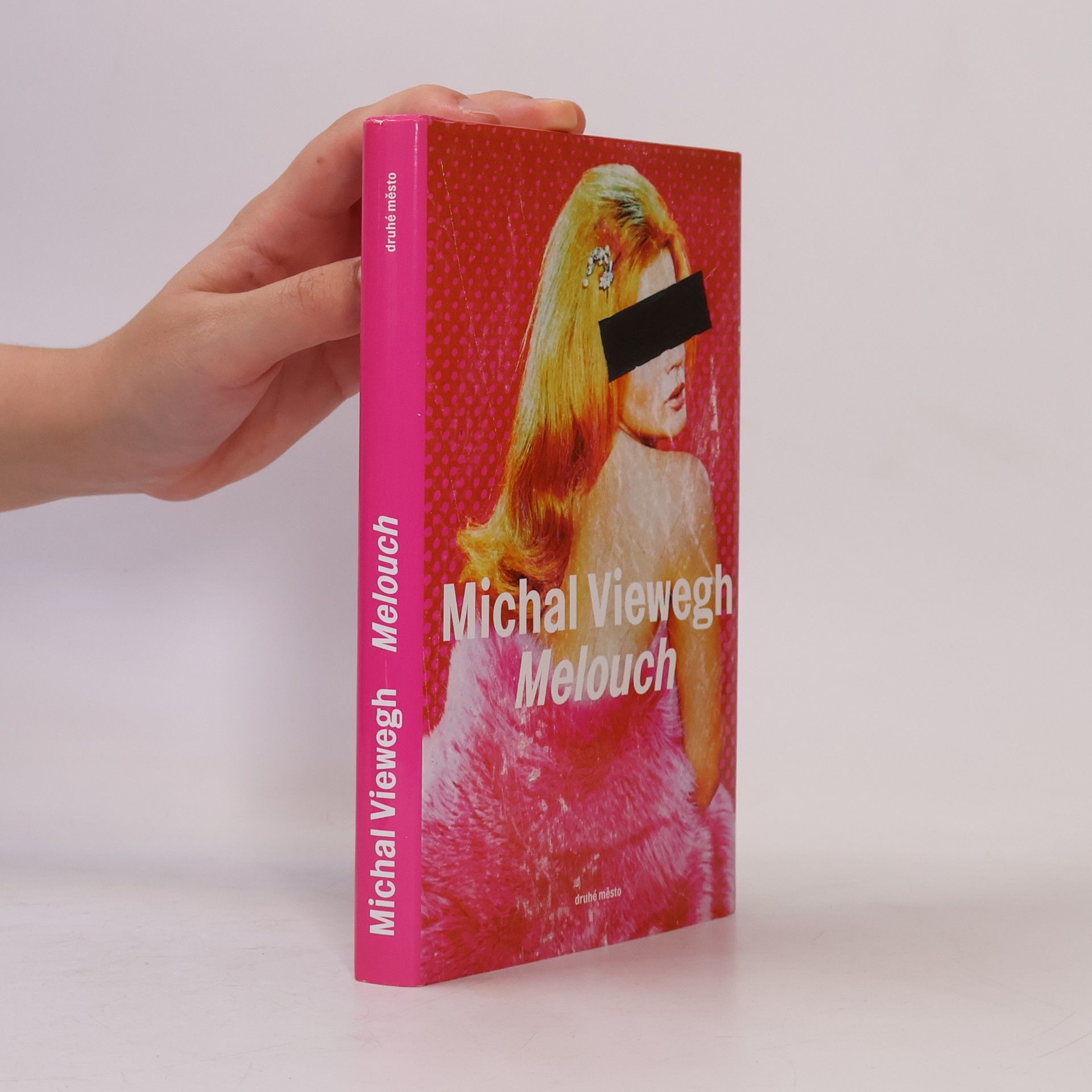 Michal Viewegh Melouch